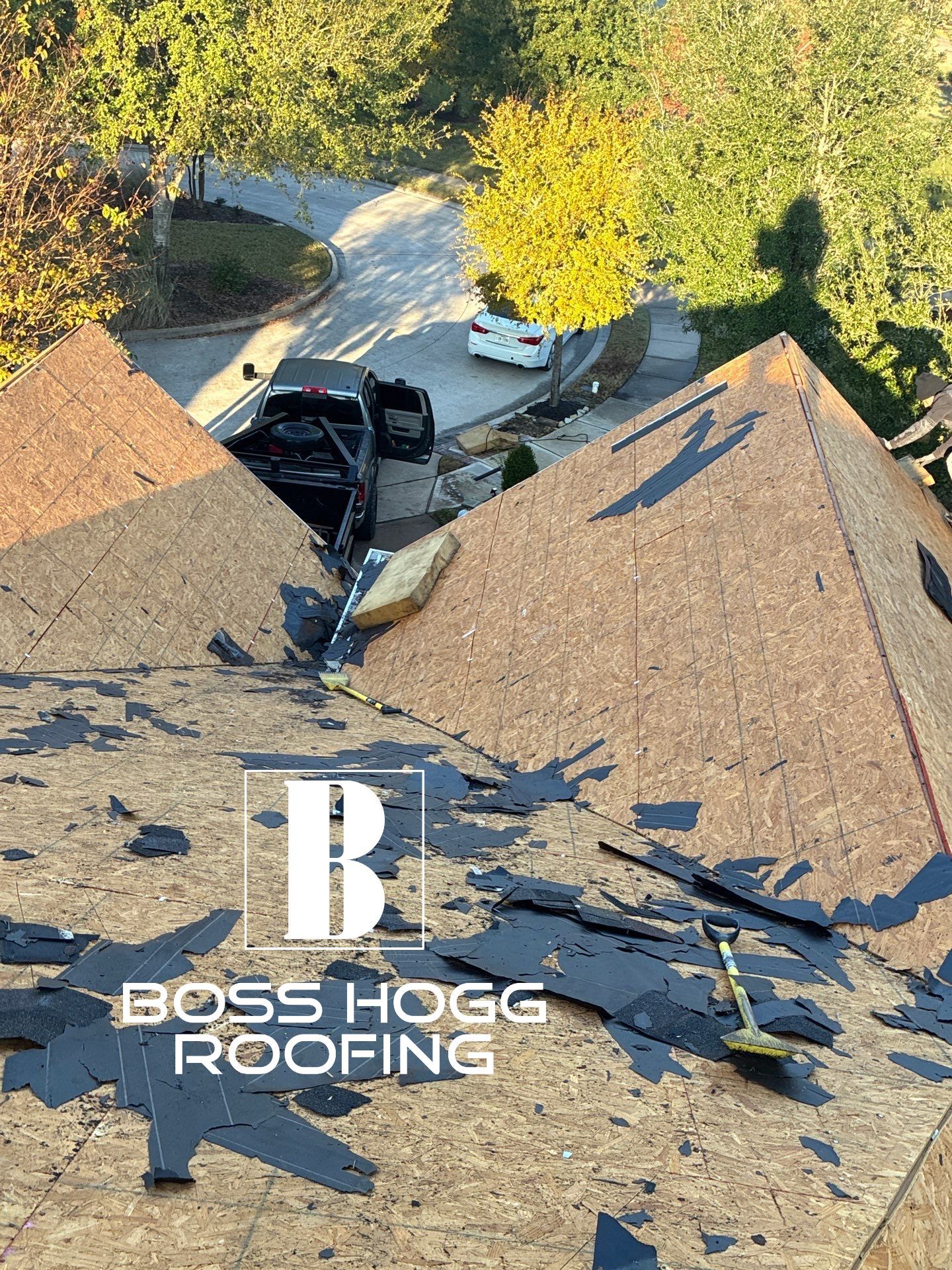 LYNA L by Boss Hogg Roofing