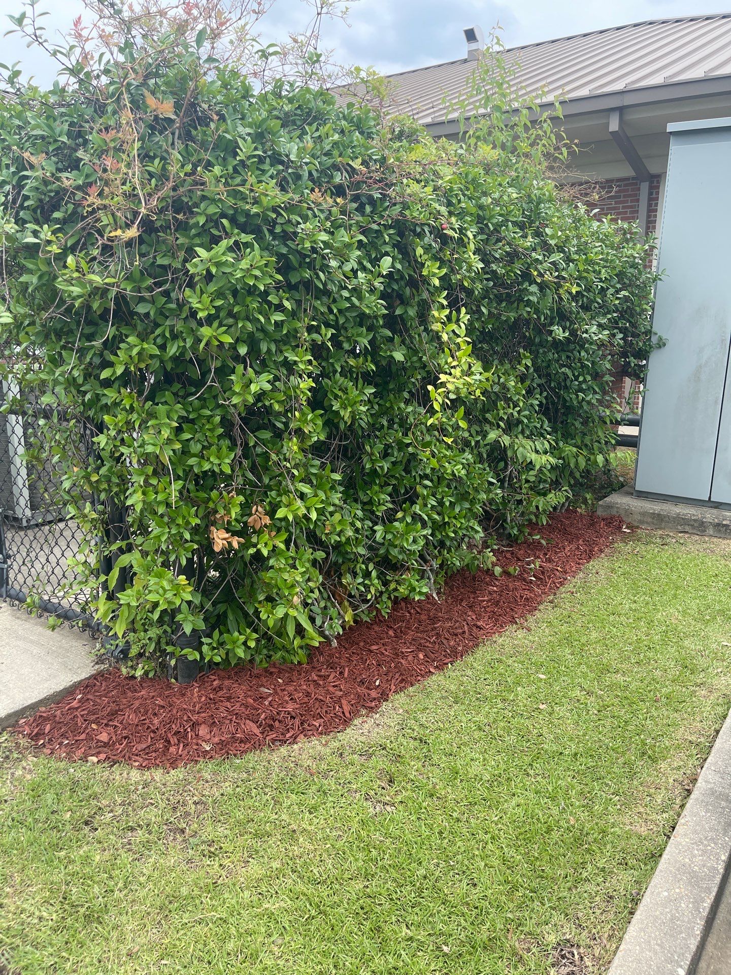 COMMERCIAL: BED CLEAN / MULCH INSTALL  by CutScape, LLC.