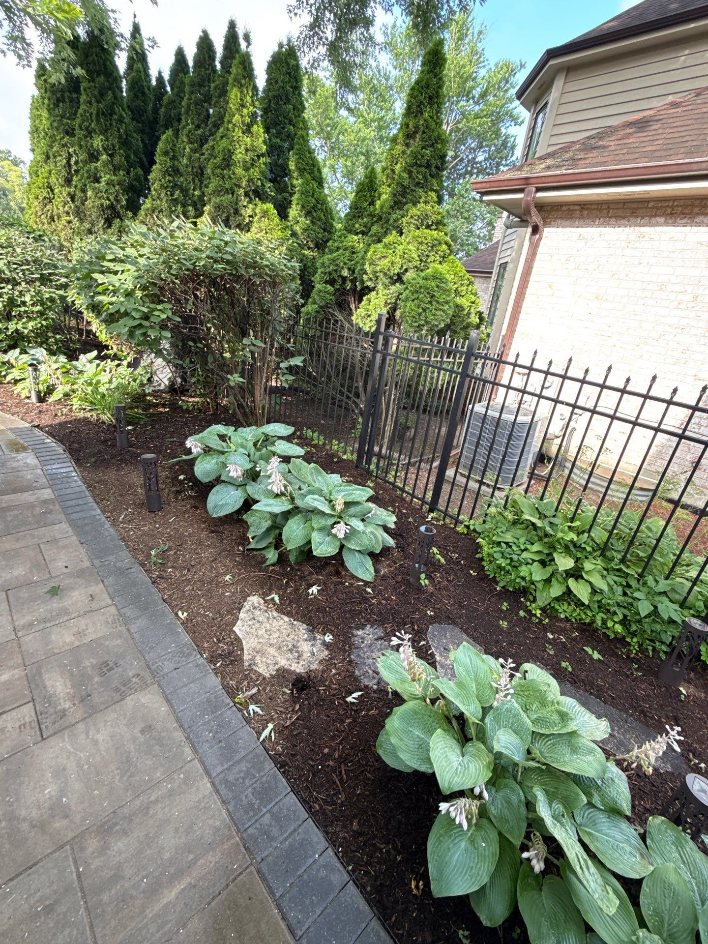 Laura C. - Mount Prospect, IL by A&N 