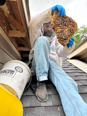 Roof Dormer