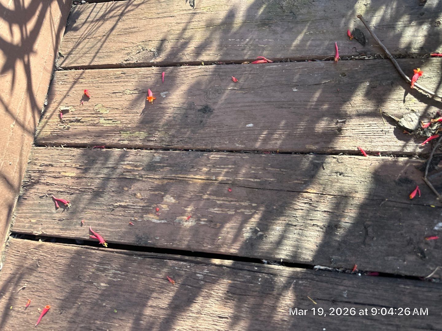 Fence using Wood Sealant by DuraSeal