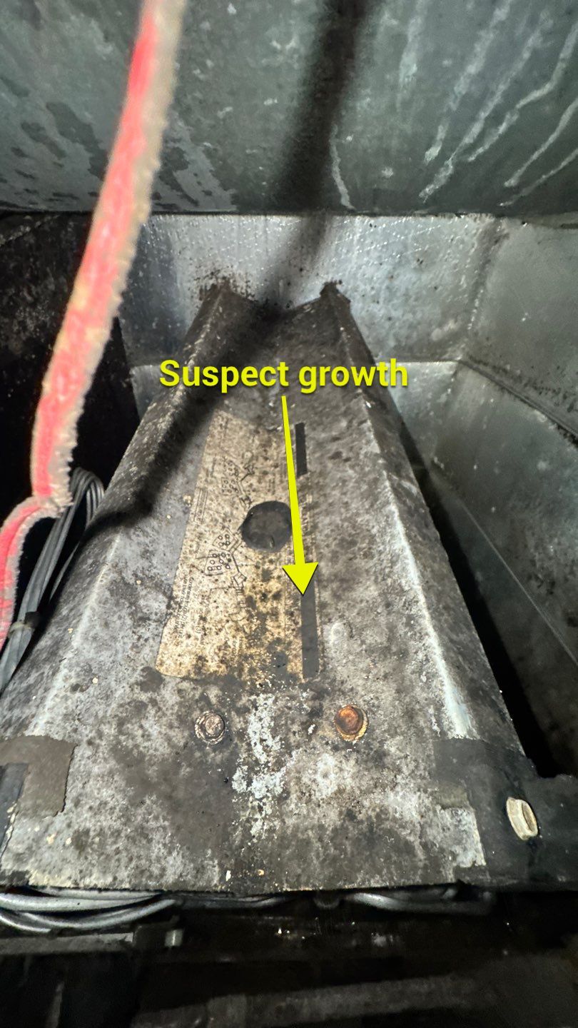 Extremely Dirty Air Duct Cleaning in Fruitland Park by Hygienic Air, Inc