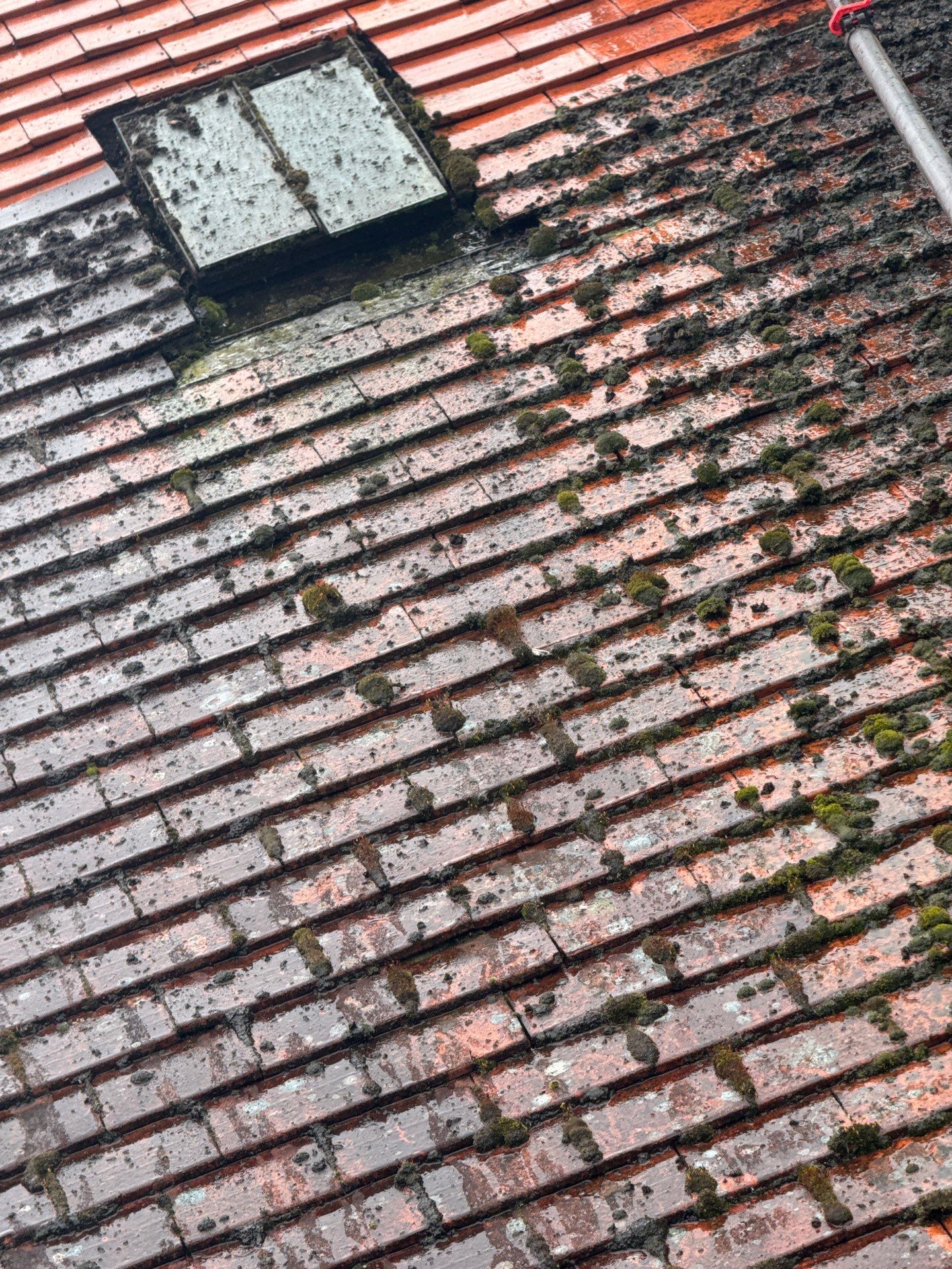 Exterior Clean - Roof - Patio - Driveway using honda 21 ltr/min by Ges Exterior Cleaning ltd