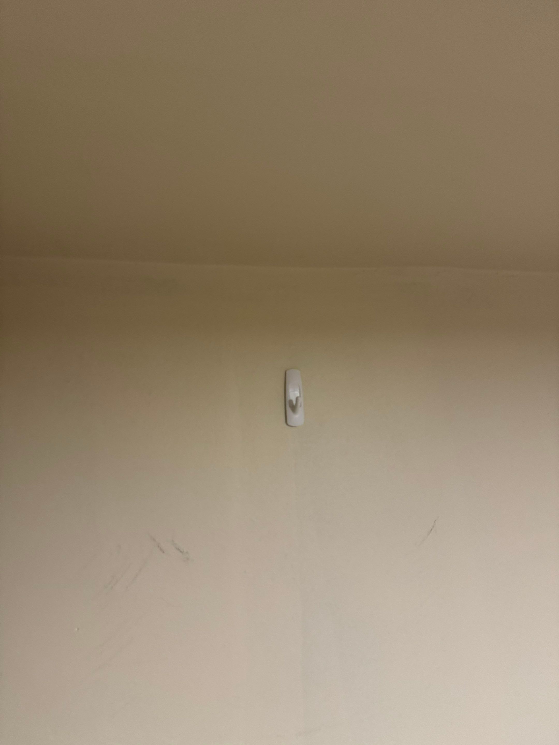 Painting by YVR Construction Group