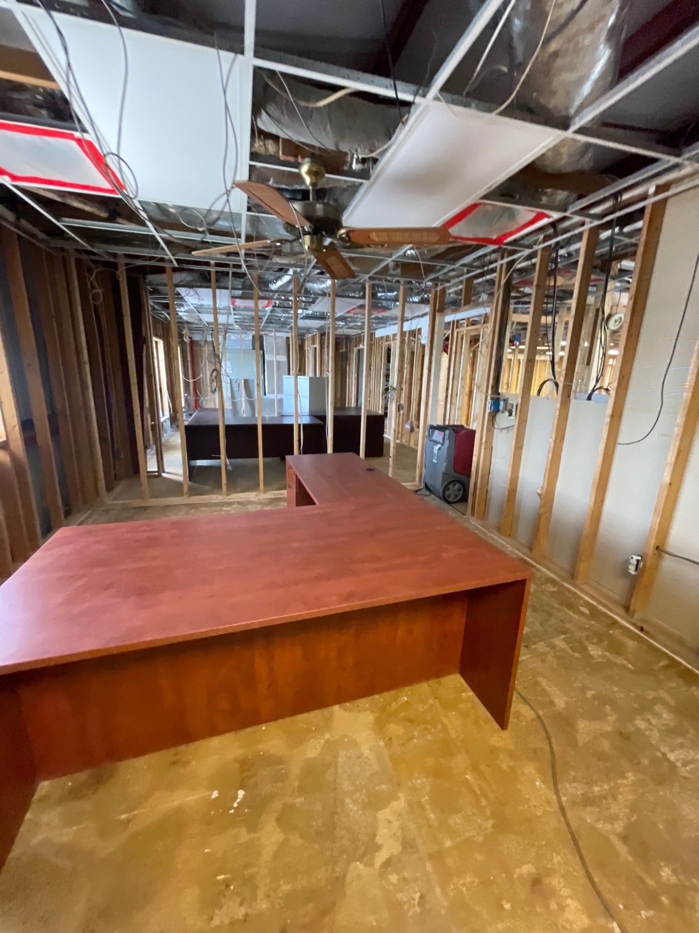 Commercial Mold Remediation by Bay Coast Restoration