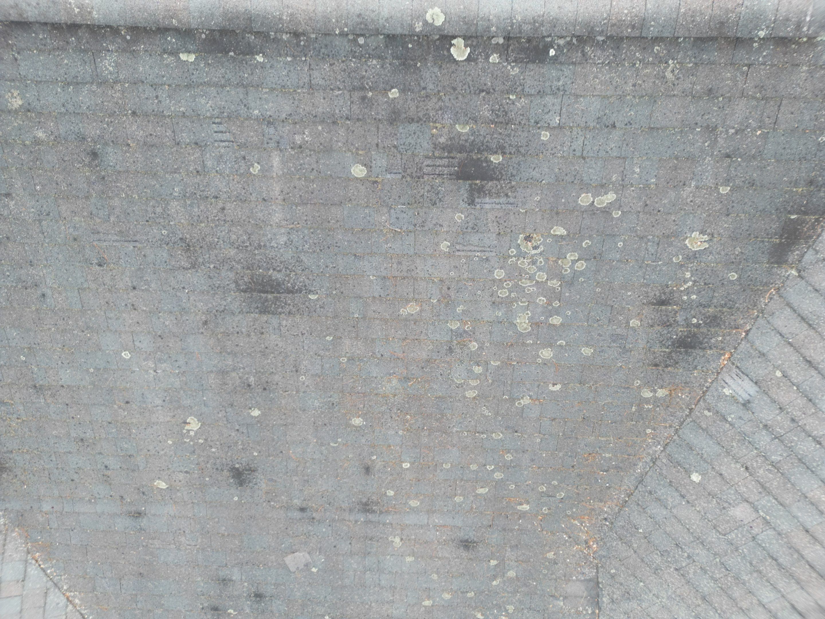 Asphalt Shingle Roof Replacement | Billerica, MA by Mighty Dog Roofing of Greater Middlesex County