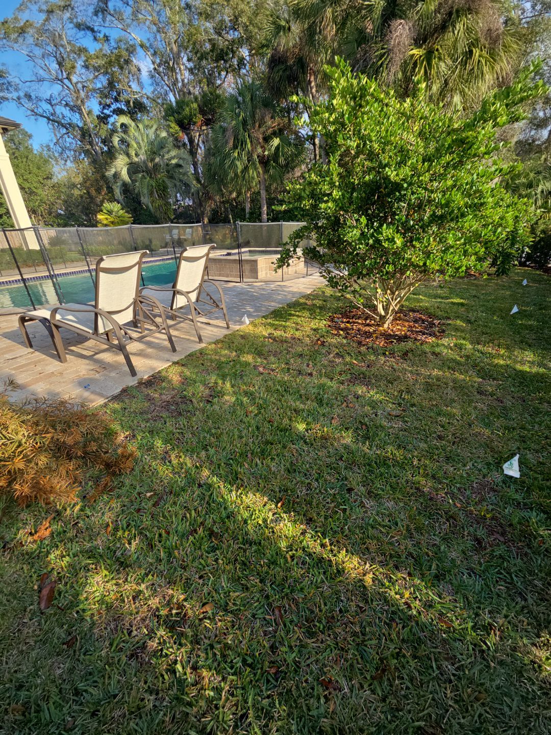 Deerwood Resident | Freshen Up Project by ProGreen Services