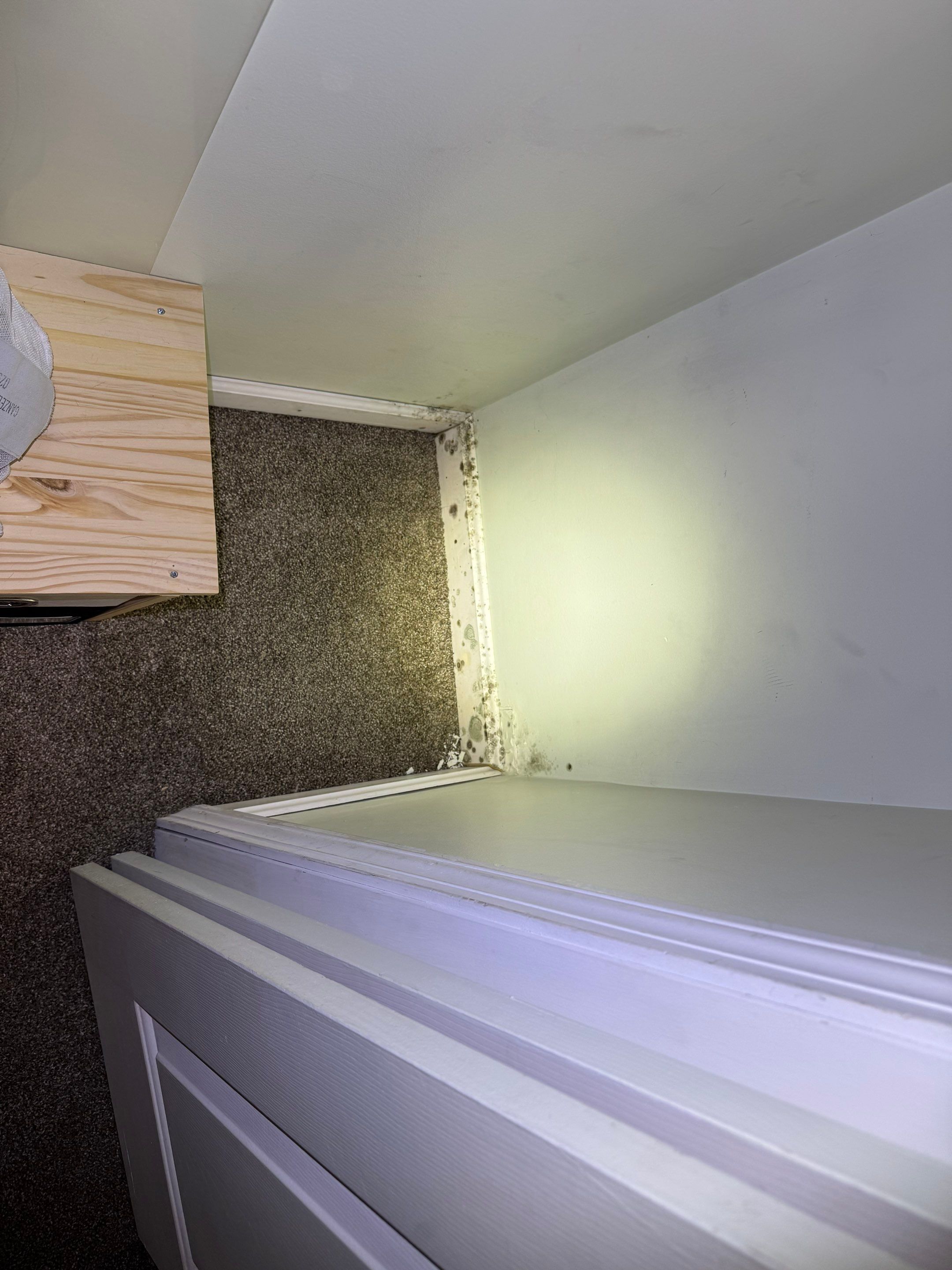 Small Remediation using Home Guarantee by Home Guarantee, LLC