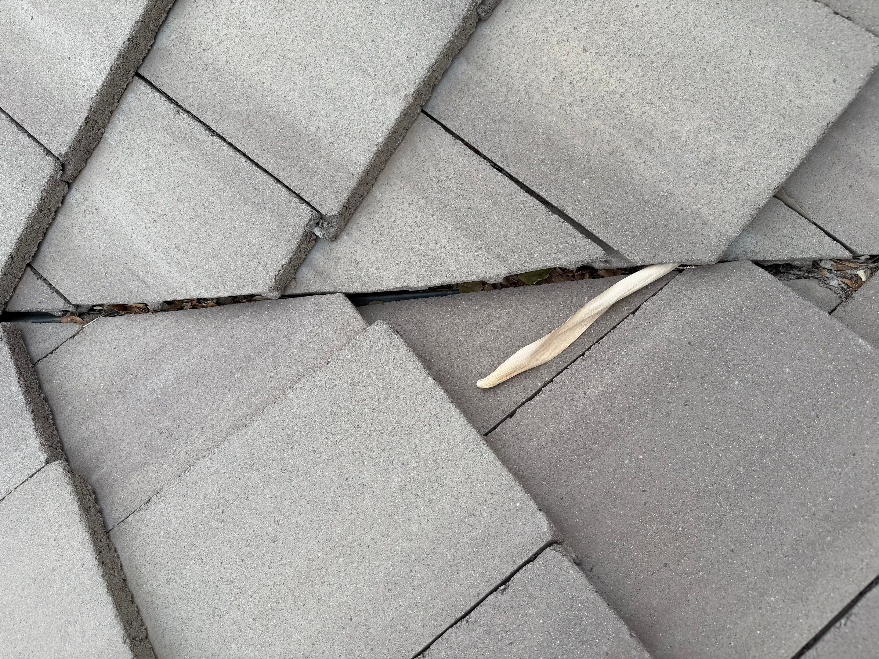 Project in Queen Creek, AZ by Showtime Roofing & Coatings LLC