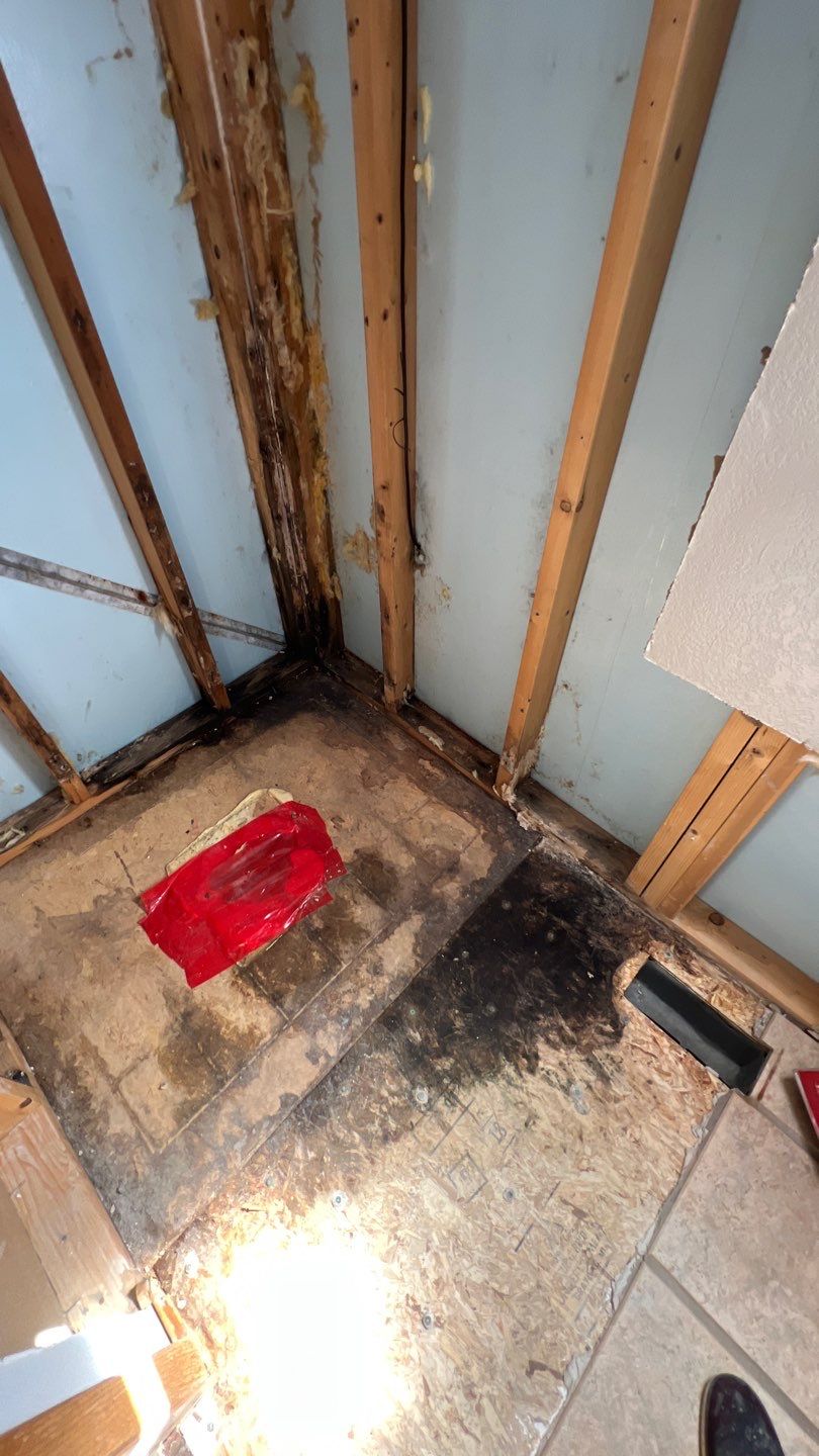 Water Damage and Mold Remediation by Accountable Home Services