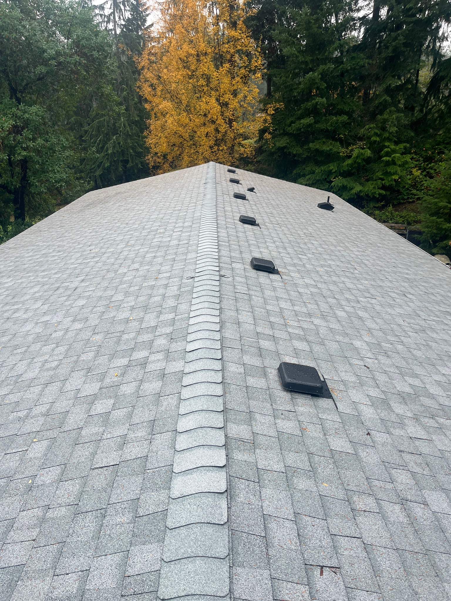 Residential Roof Cleaning in Port Orchard, WA by Hanley Construction