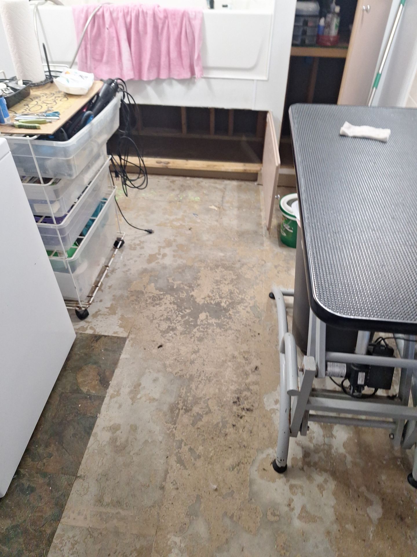 Durable Epoxy Flake Floor for Dog Grooming Studio – Norton Shores, MI by Gordon Painting