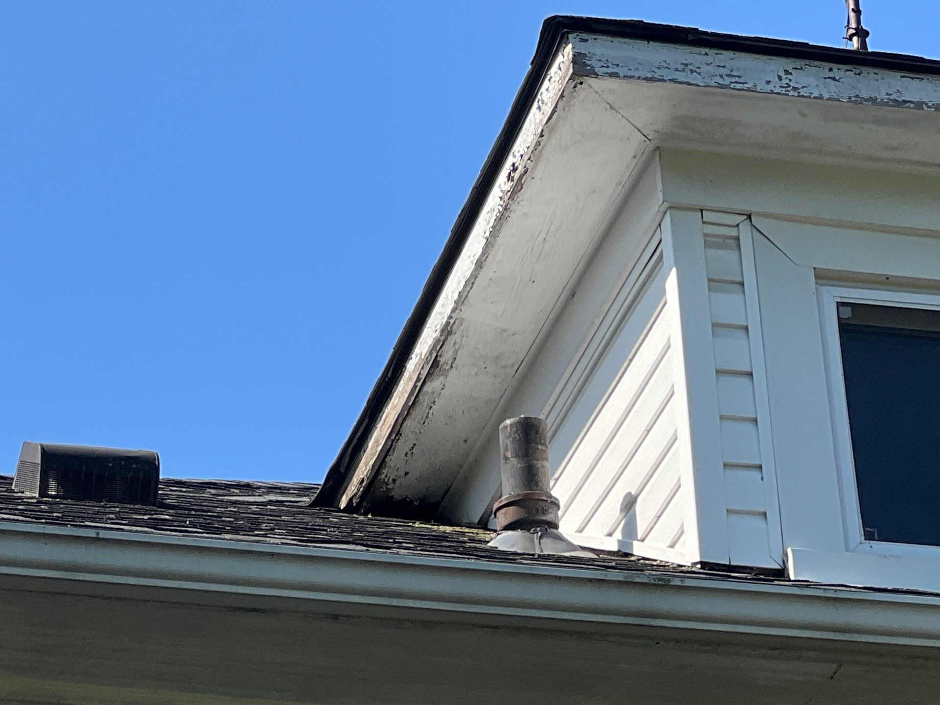 Ferndale Exterior Trim Restoration and Gutter System Installation by Top Shelf Painter