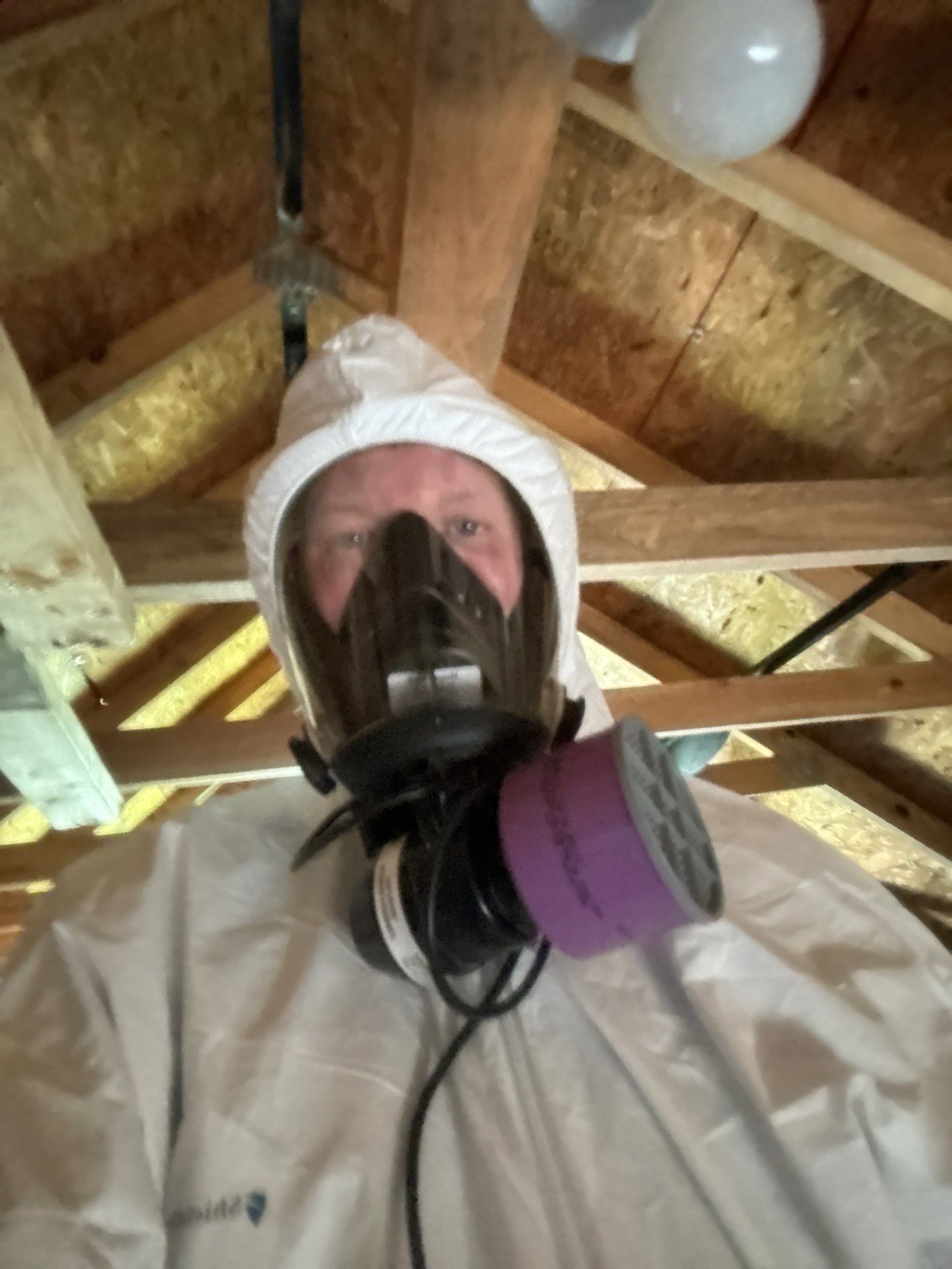 Severe Indoor Air Mold Issues by Home Disaster Medics
