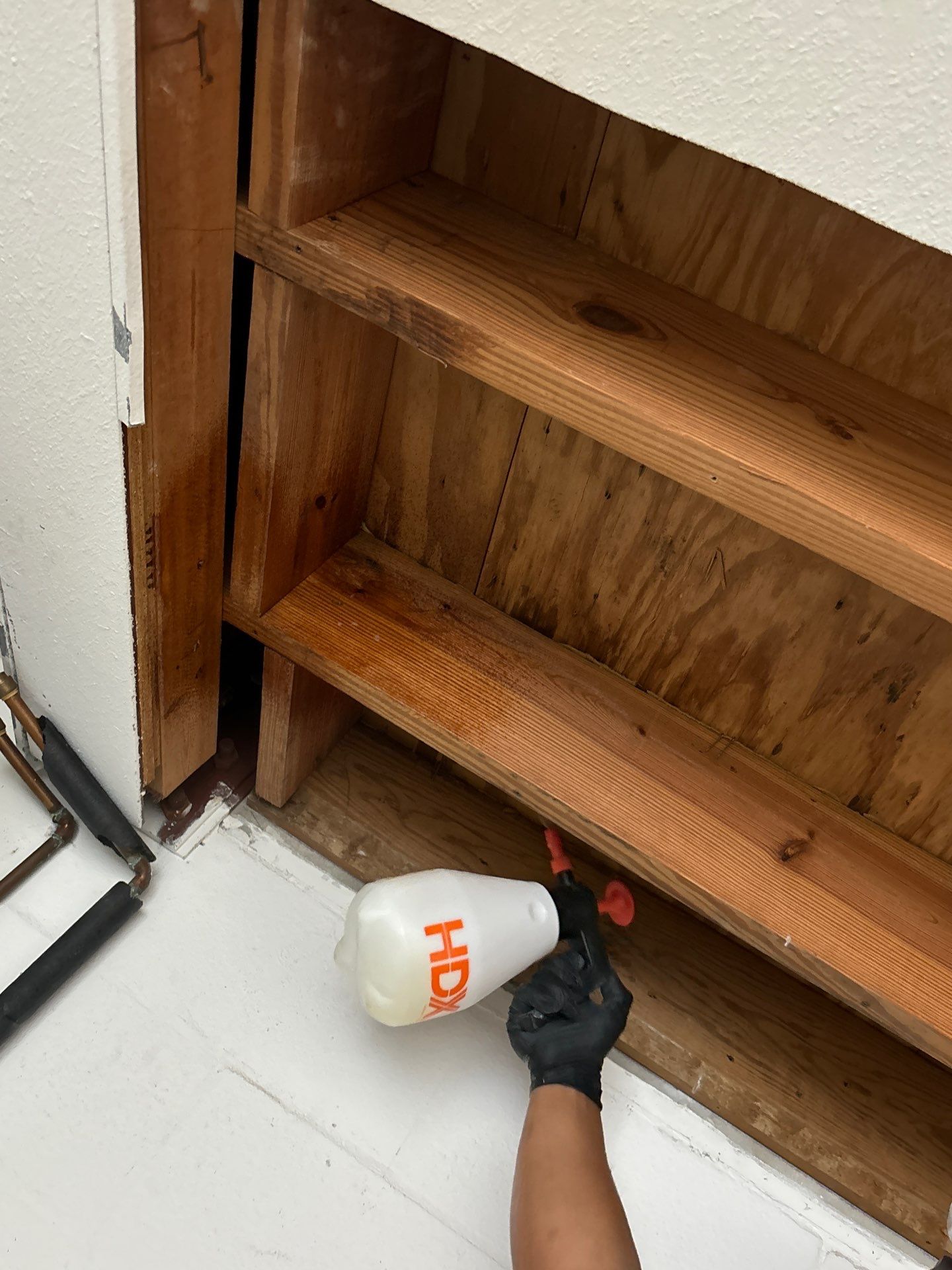 Treasure Island Restoration by Ampm Restoration Services
