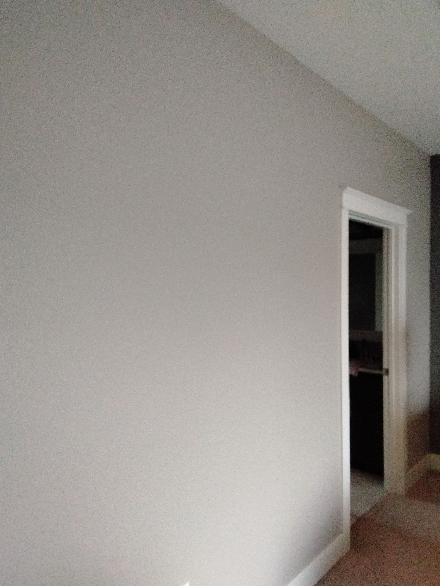 Repaint Walls Same Color  by Midwest Paint LLC