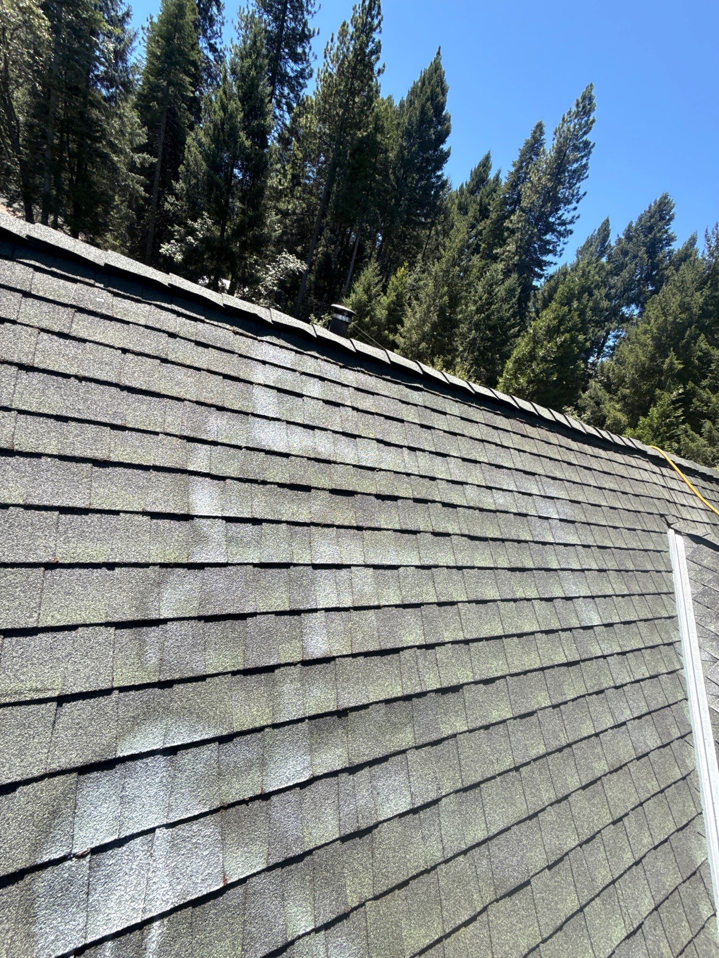Roof Rejuvenation using Roof Maxx Treatment by Roof Maxx of Folsom