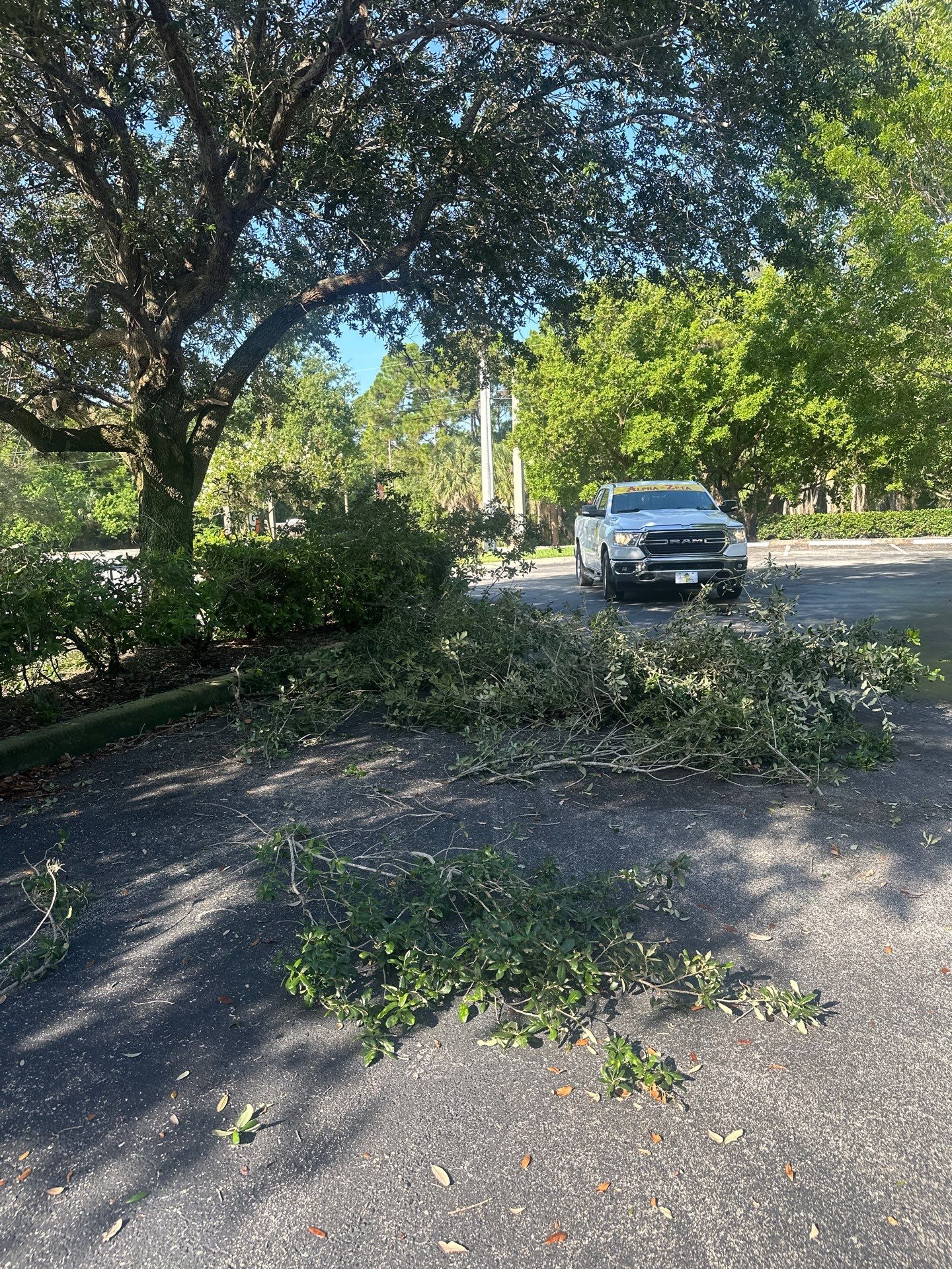 🛏️ City Mattress Refresh — Jensen Beach by Alpha Zeta Enterprises Inc