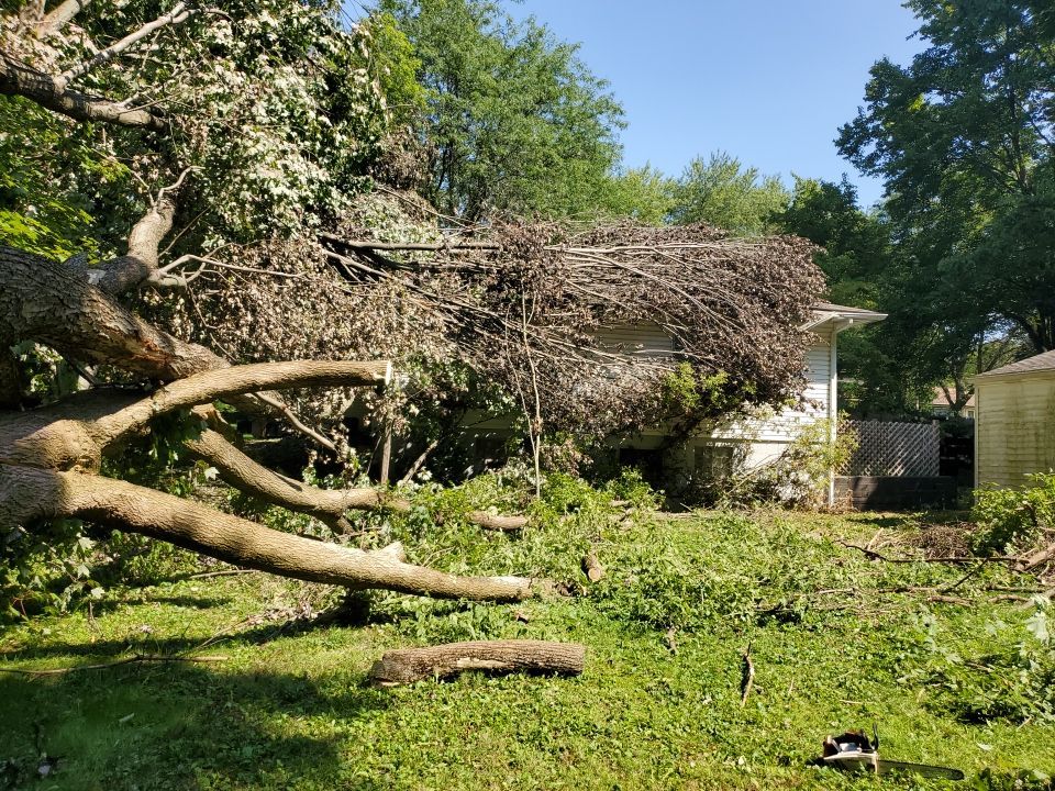 Storm Damaged Tree Removal  by Mike Jones & Sons Tree Service LLC 