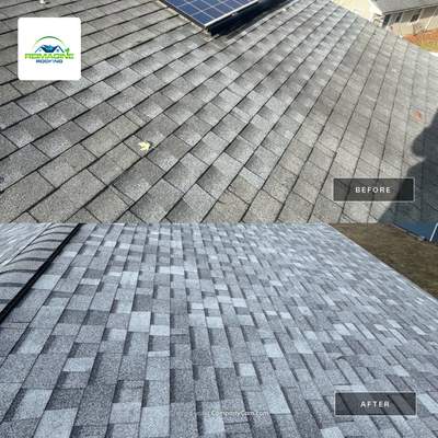 Silver Birch Shingles