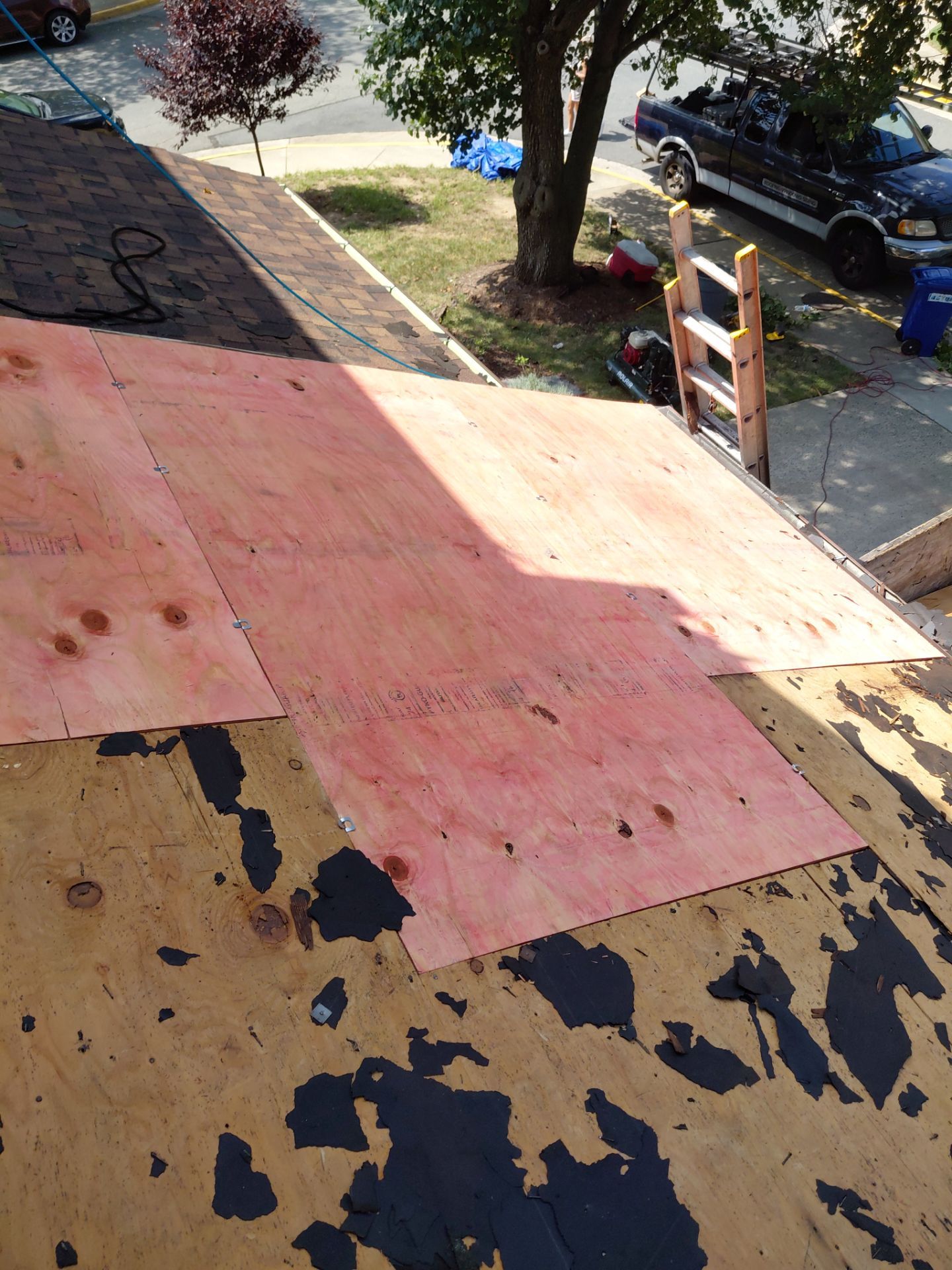 Alexandria: Residential Roof with CertainTeed Landmark Pro in Max Def Burnt Sienna by RM Banning, Inc.