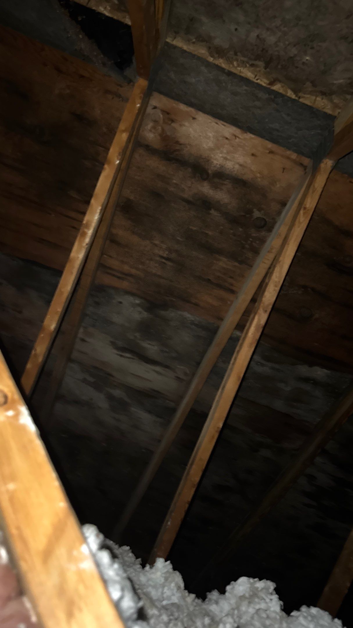 Roof Replacement using Owens Corning Driftwood by 180 Contractors