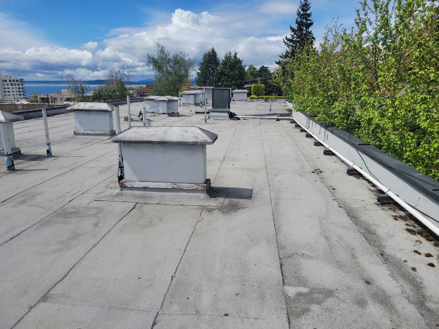 2024 Seattle Multi-Family Overlay by Alternative Roofing Systems Inc. 