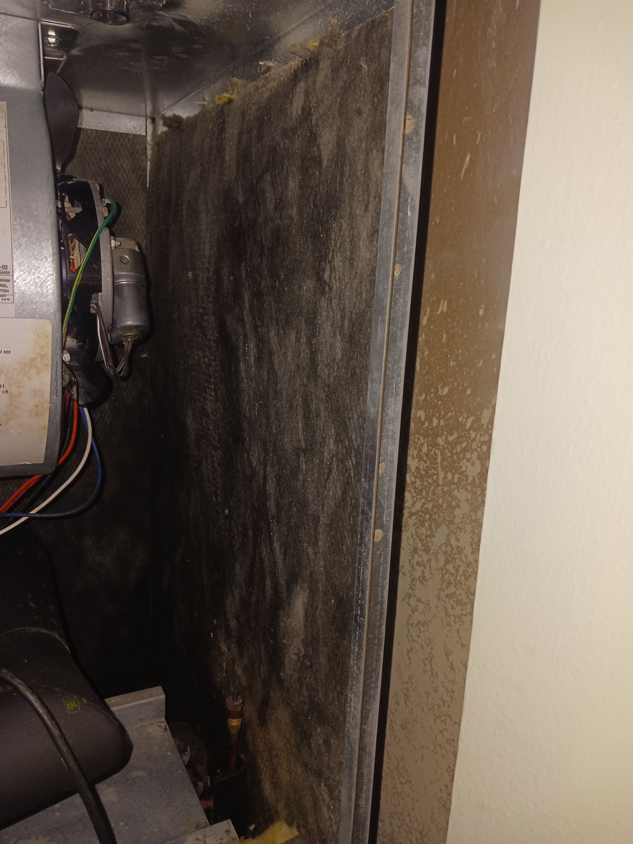 Commercial Air Duct Cleaning in Leesburg by Hygienic Air, Inc