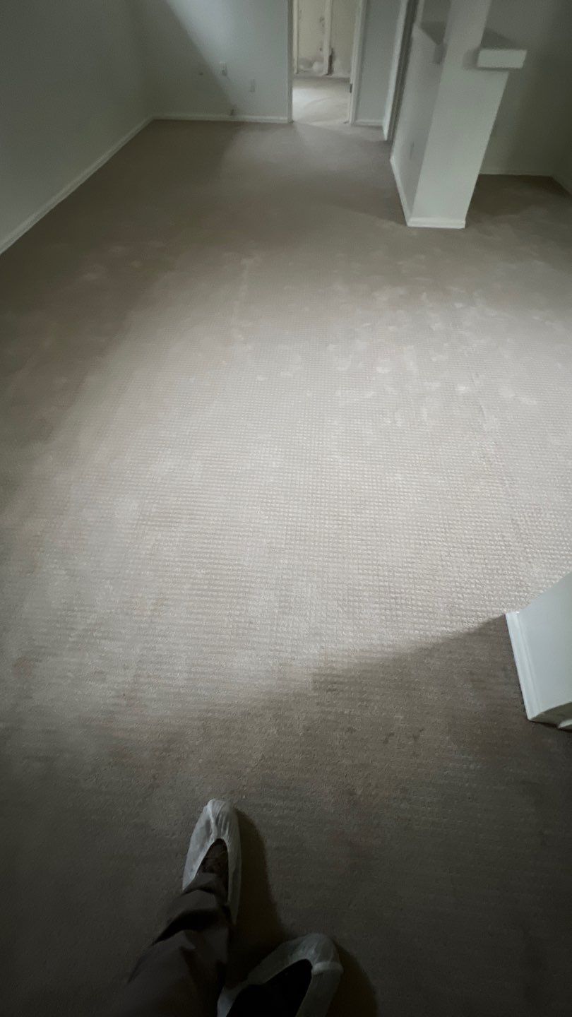 Mold Remediation by Accountable Home Services