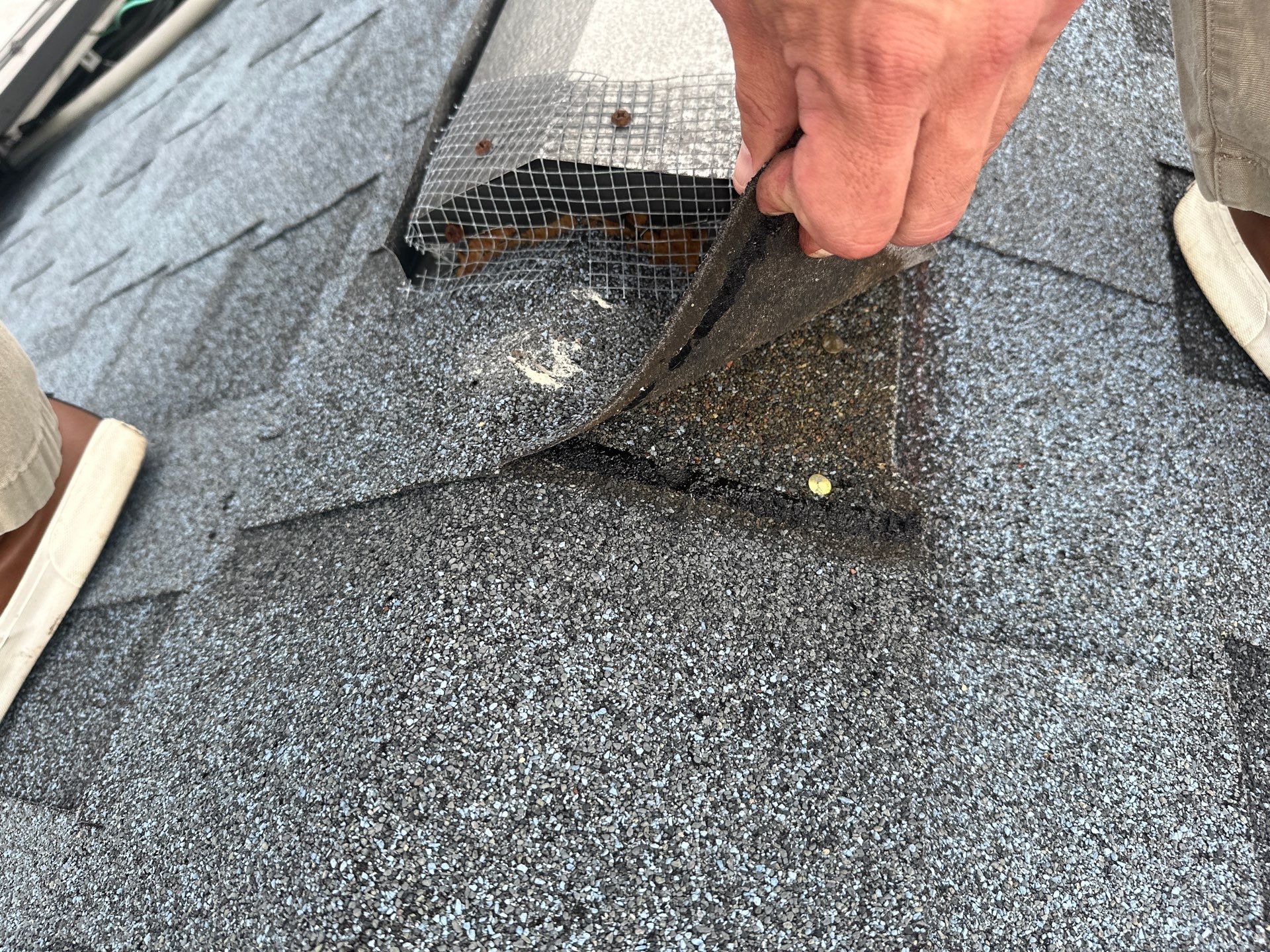 Water Damage Claim in Cape Coral by FLAPA & KeyStone