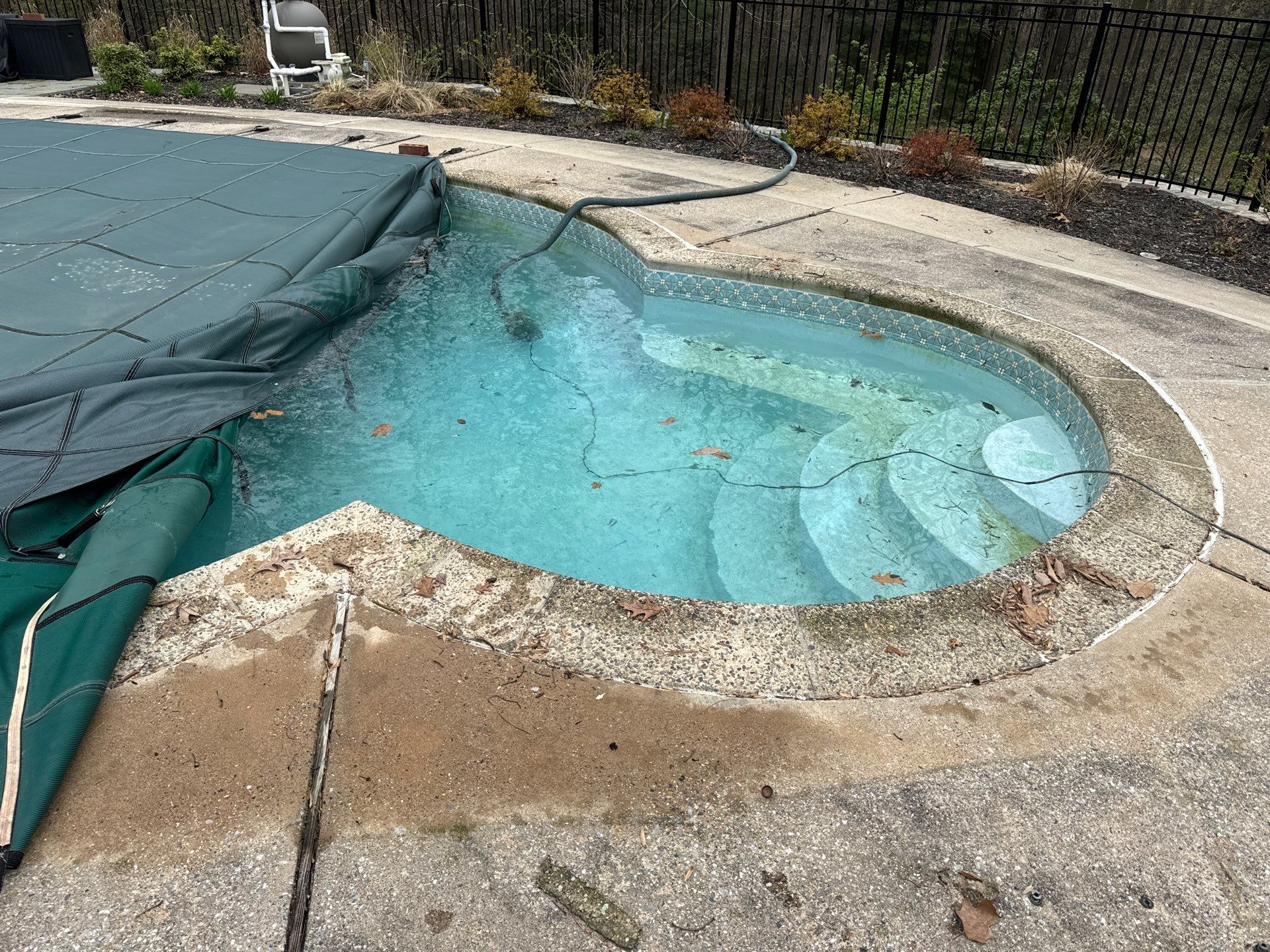 Tile/Coping/Plaster Renovation by Elysium Pools