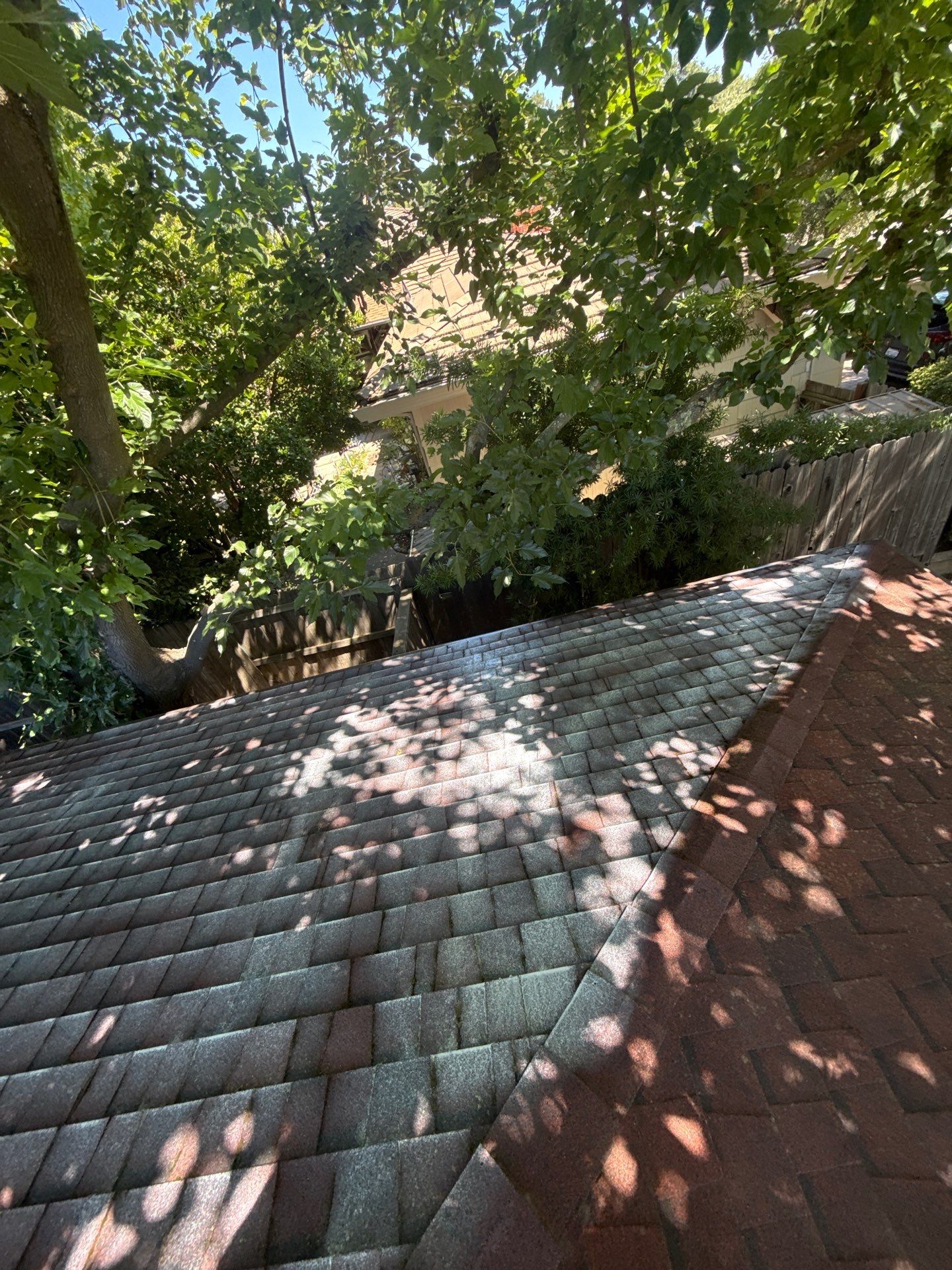 Roof Rejuvenation using Roof Maxx Treatment by Roof Maxx of Folsom