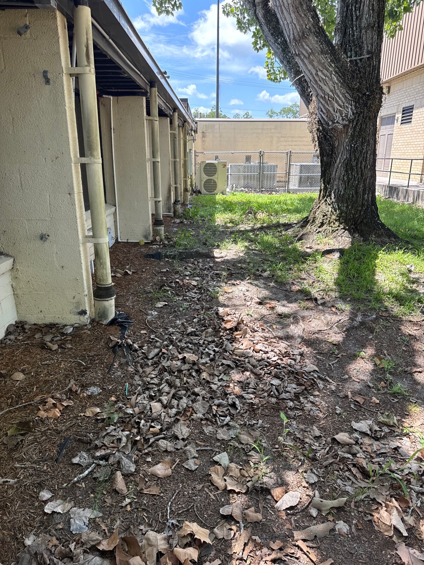 Green Cove Springs Junior High School | Landscape Refresh by ProGreen Services