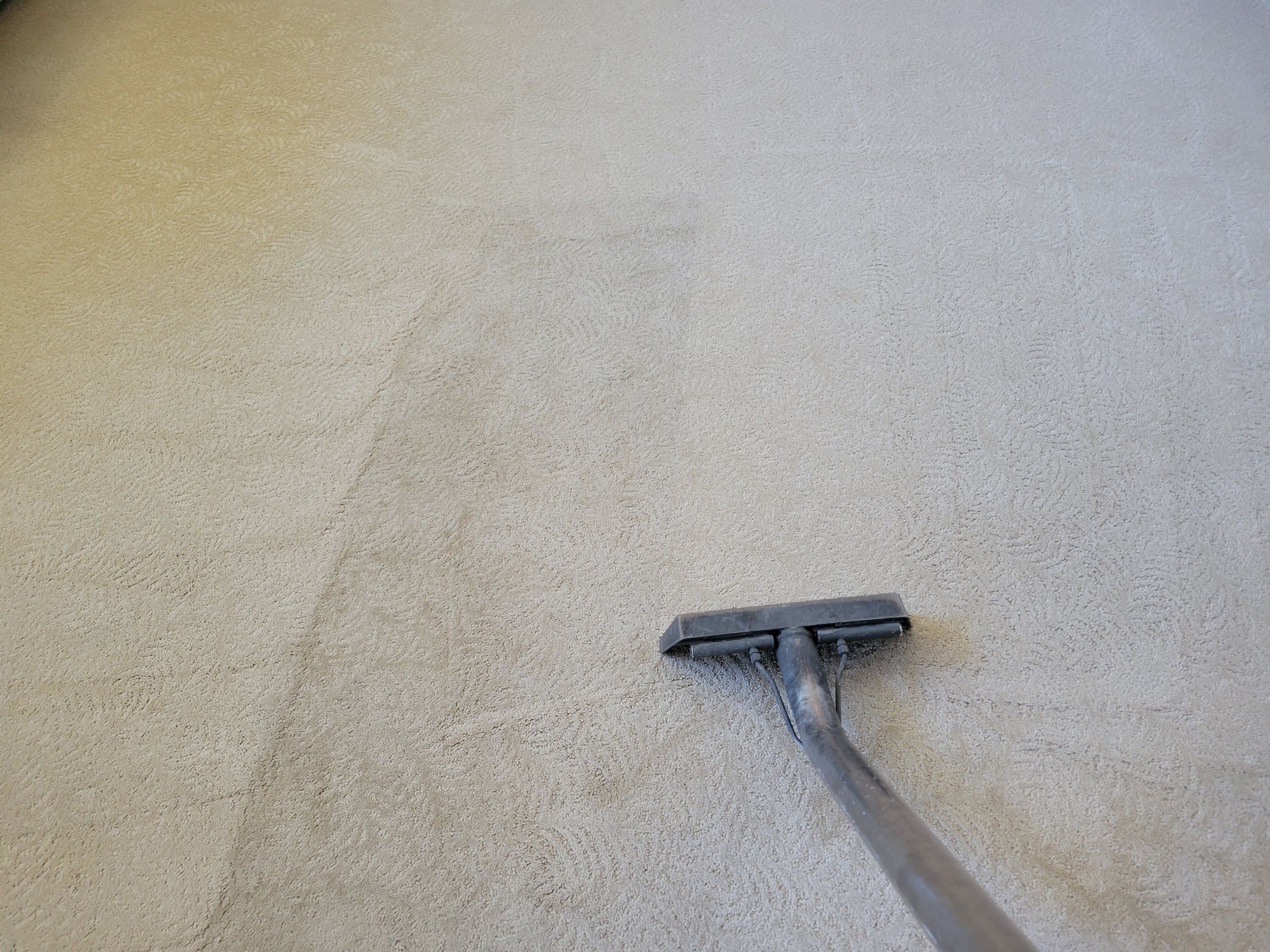 Carpet Cleaning in South Land Park by Ardent Carpet Restore LLC