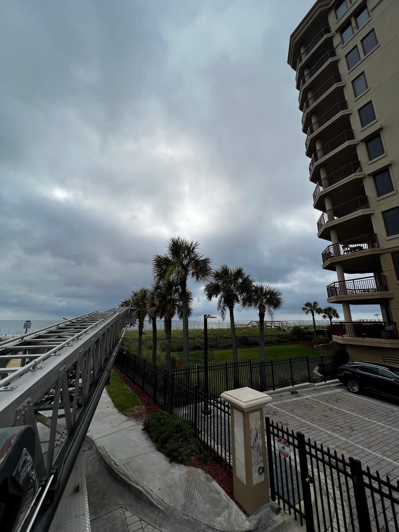 Palm Trimming | Landmark Condominiums by ProGreen Services
