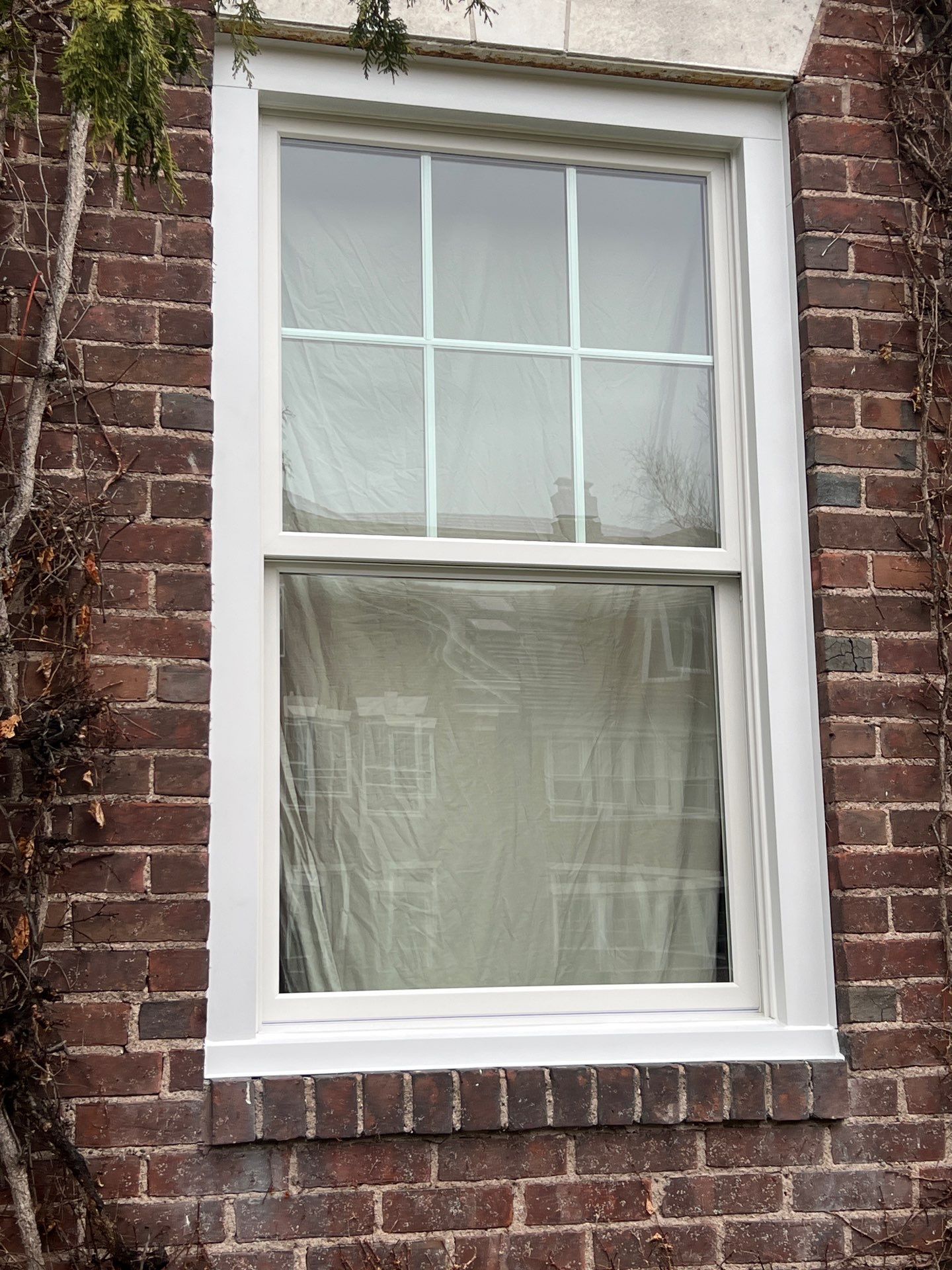 Multi-Window Upgrade for a Brighter, Updated Exterior by DiGiorgi Roofing and Siding Inc
