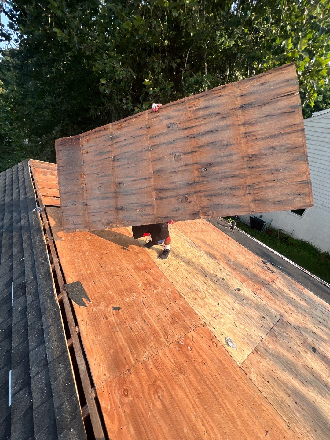 Silver Birch Shingles by Reimagine Roofing