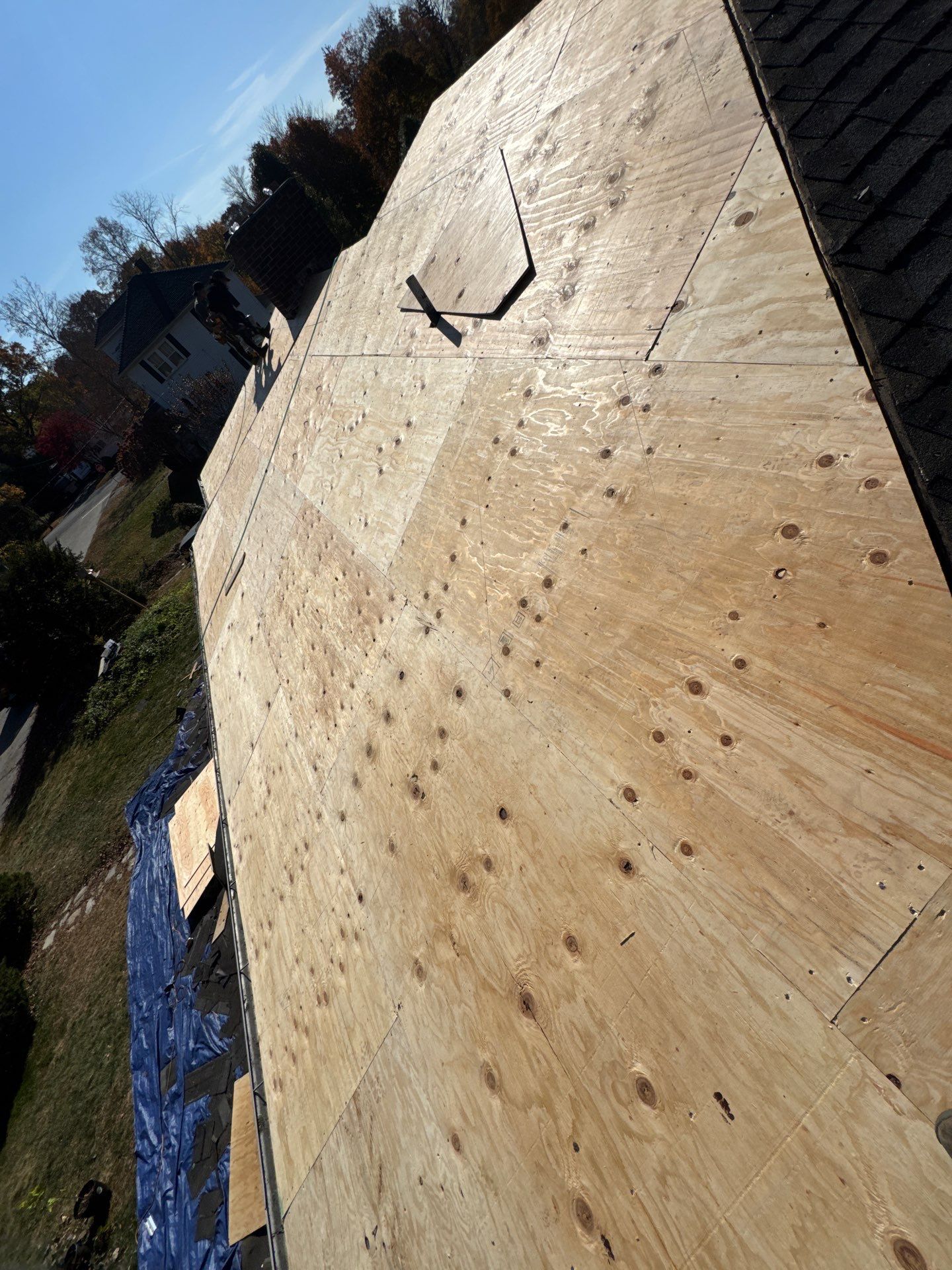 Silver Birch Shingles by Reimagine Roofing