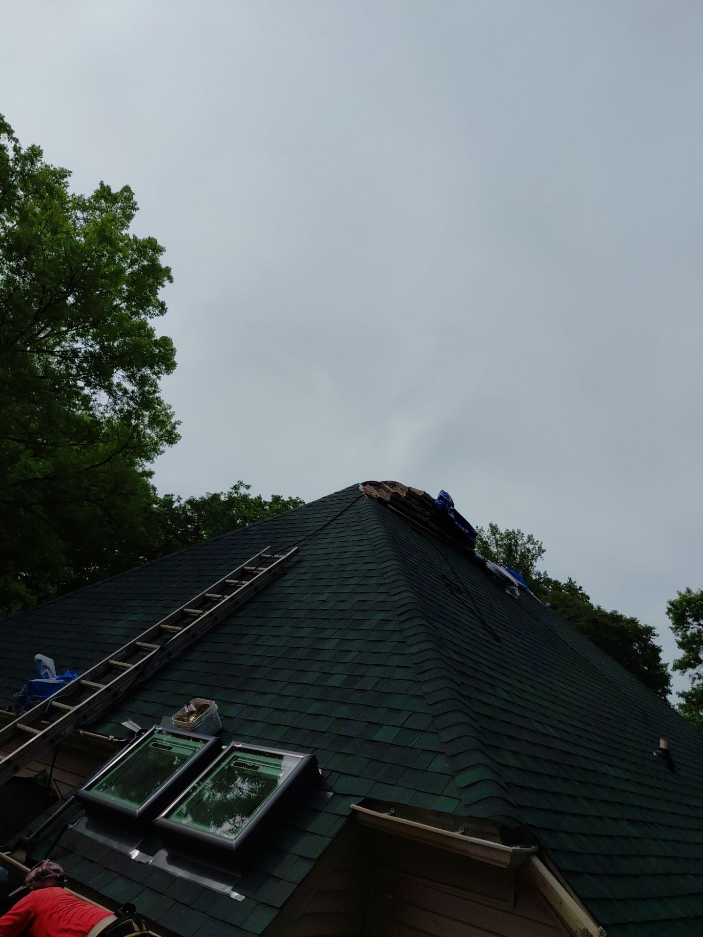 Springfield: Roof Replacement with CertainTeed Landmark Pro in Max Def Evergreen by RM Banning, Inc.