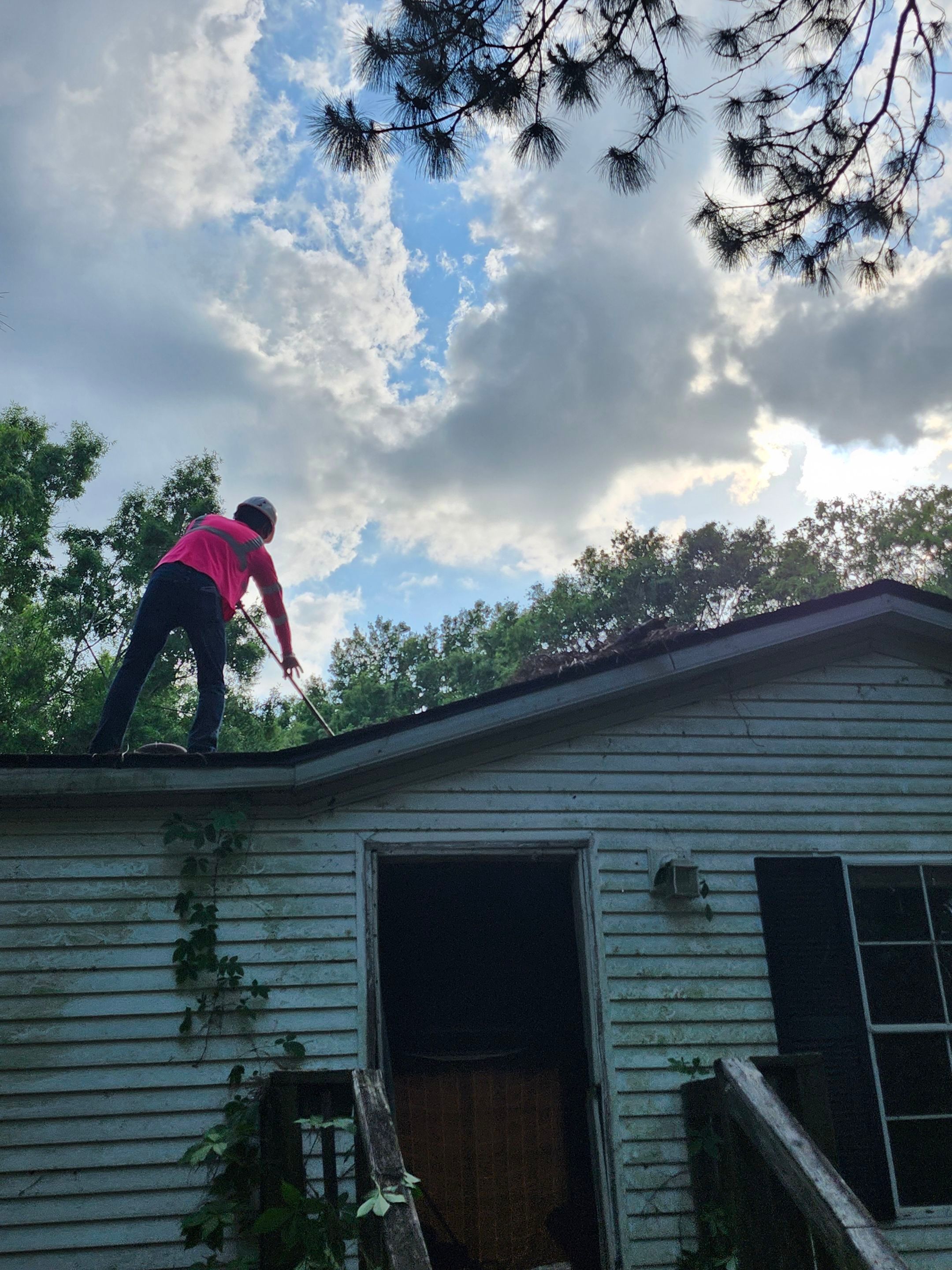 Exterior Clearing - tree trimming - grass cut by Swift Signings and Services LLC
