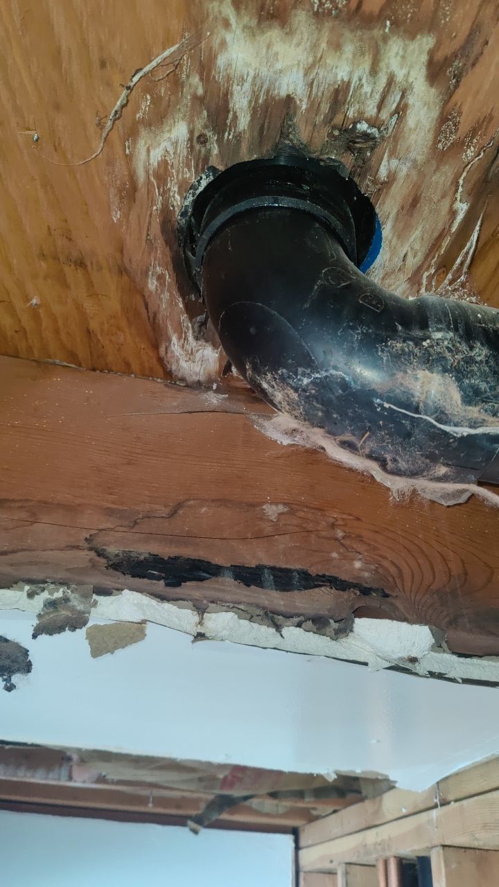 Water Damage  by Accountable Home Services