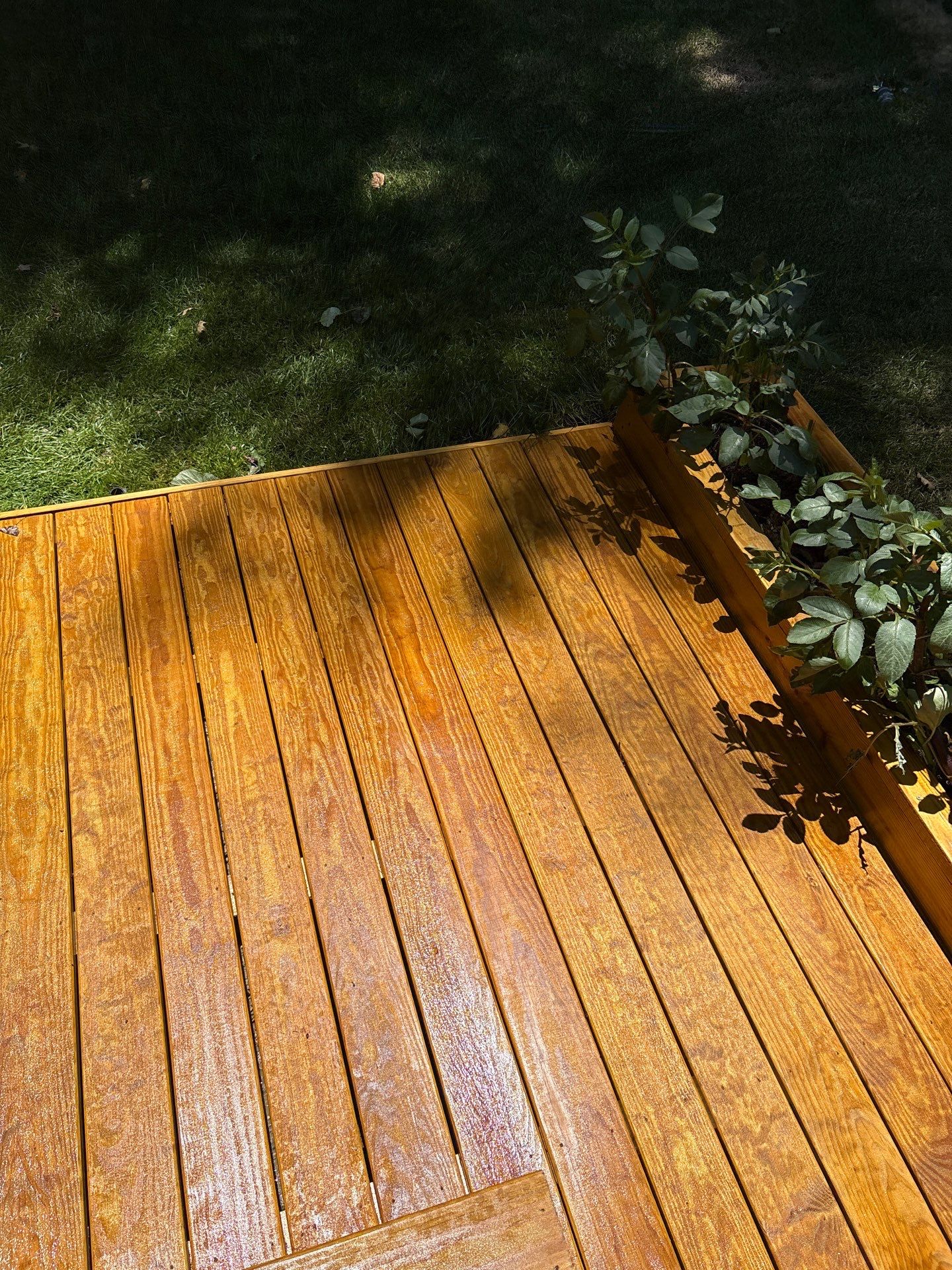 Deck using Wood Sealant by DuraSeal