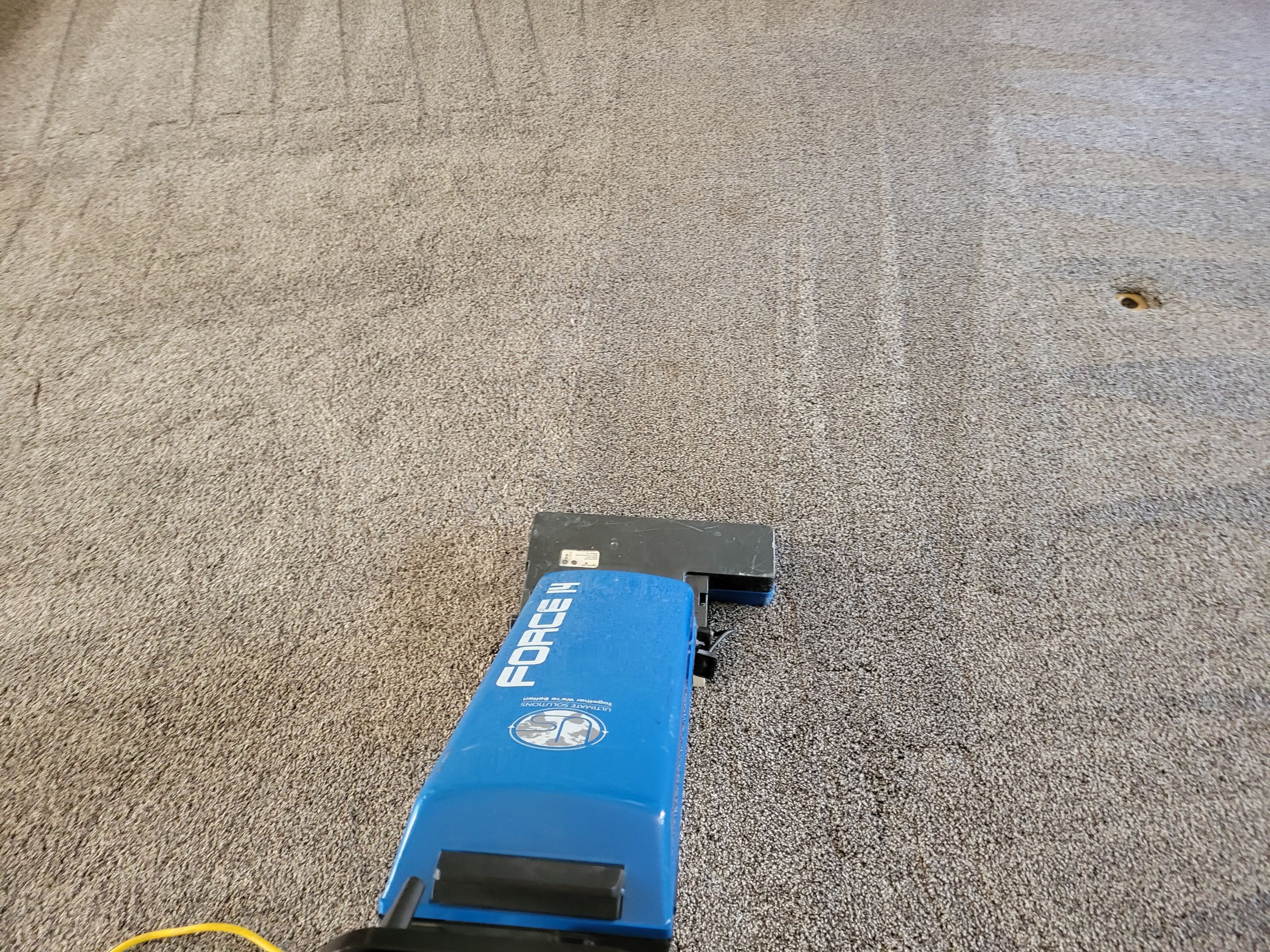 Carpet Cleaning for House Listing by Ardent Carpet Restore LLC