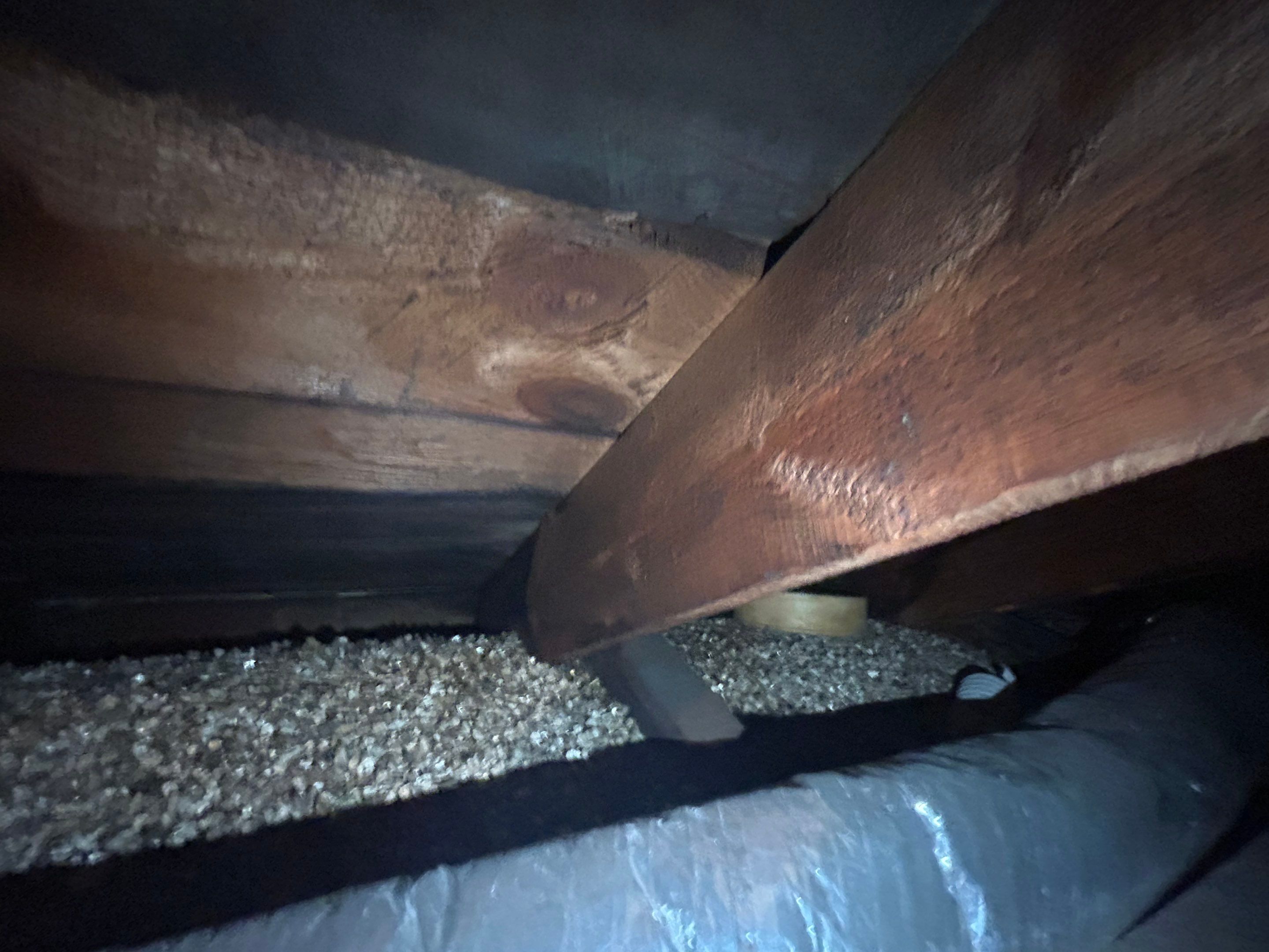 Alexandra: Residential Metal Roofing  by RM Banning, Inc.