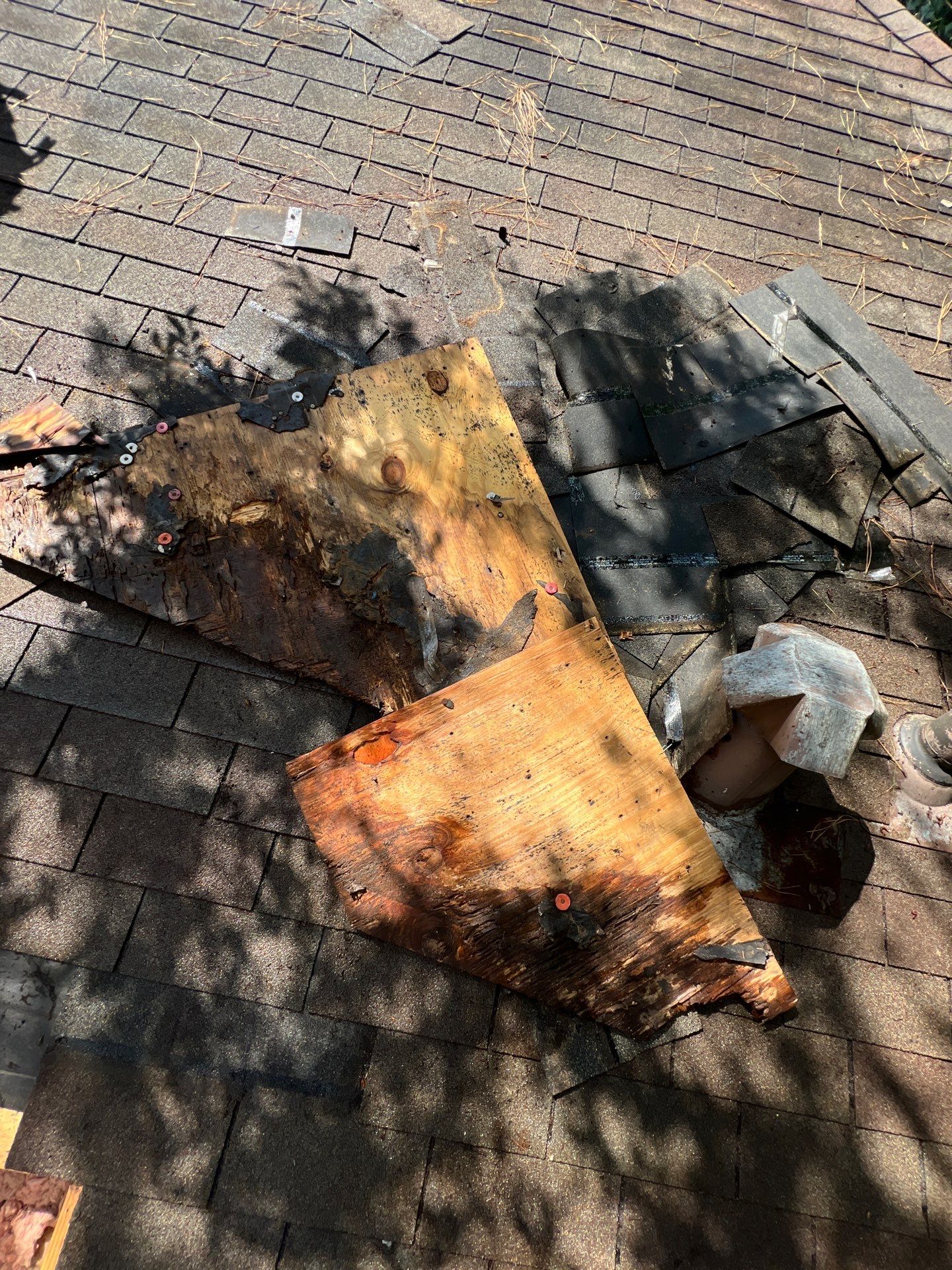 Roof Repair Spring by Roof Repair Company
