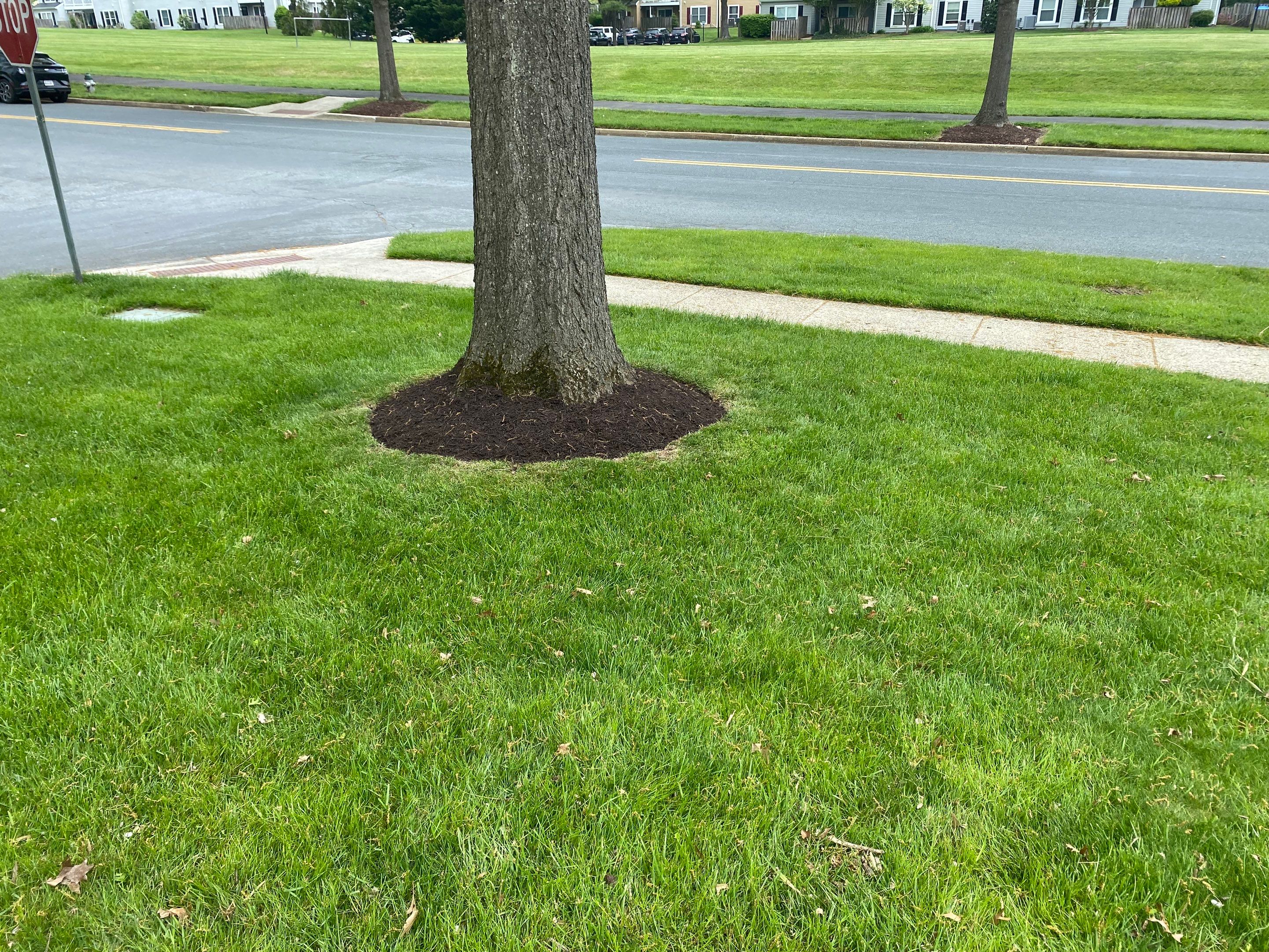 Landscape Design and Cleanup by The Smet Companies, LLC