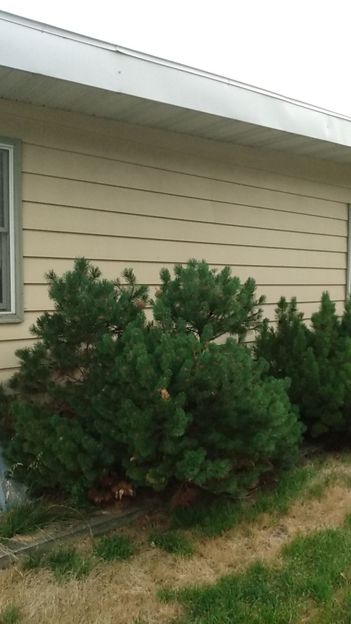 Exterior Painting using Sherwin Williams Paint by Cutting edge painting 