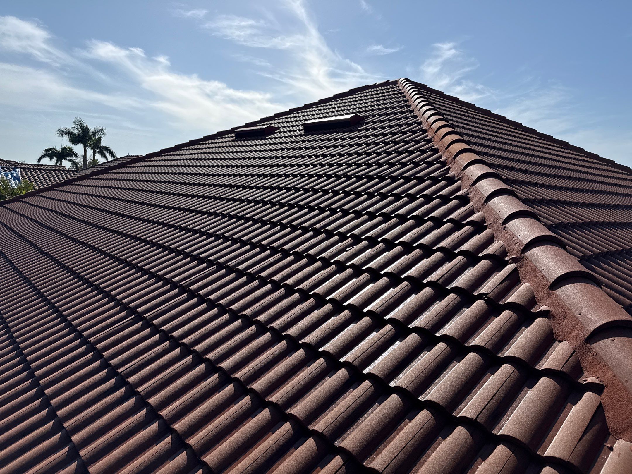 Roof Cleaning & Gutter Brightening | The Inlets Community | Manatee River | Bradenton, FL by Sunshine AquaWash