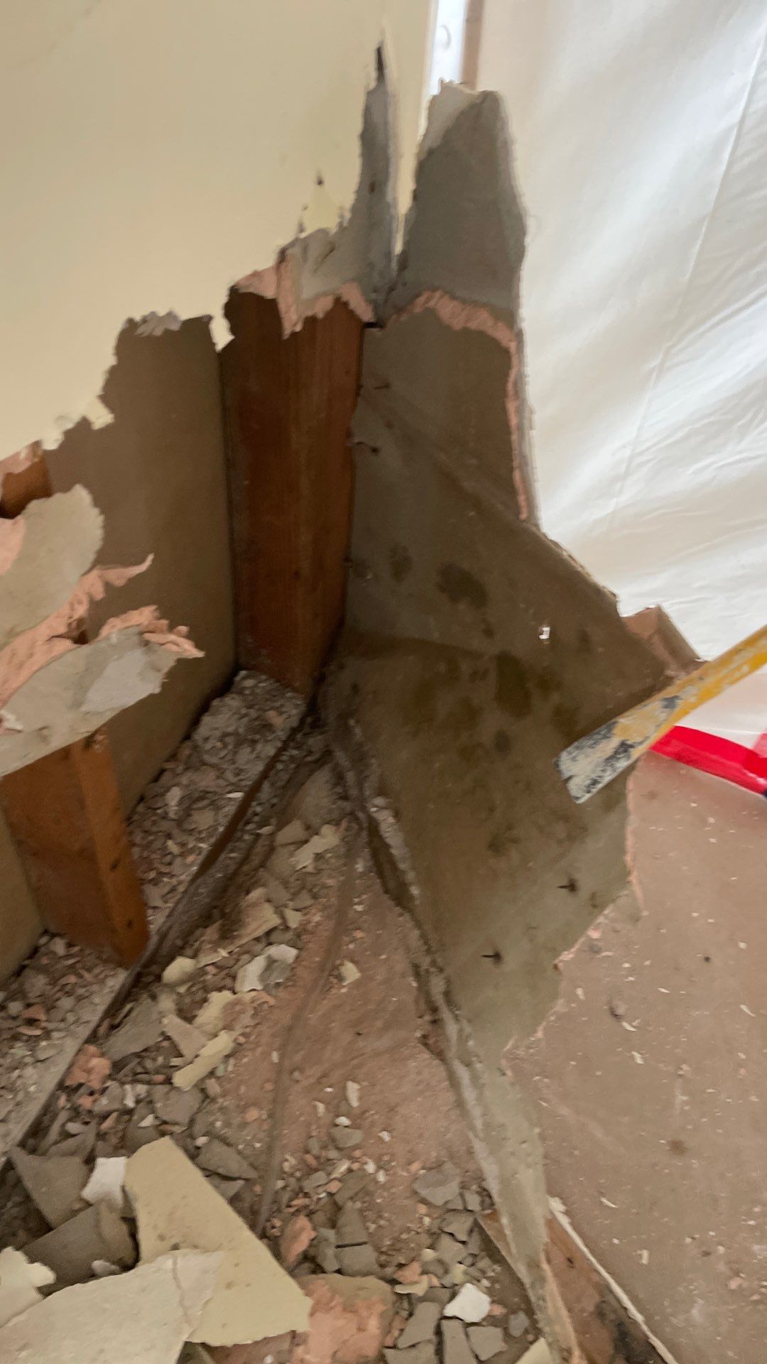 Mold Remediation  by THE RAPID TEAM