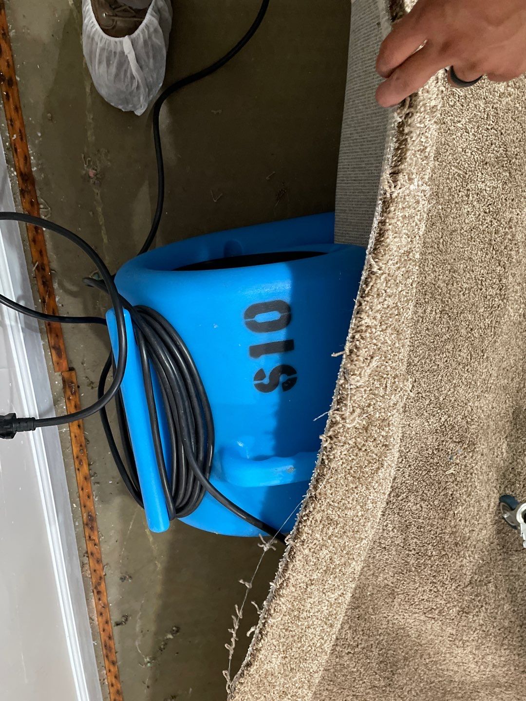 Water Damage  by Accountable Home Services